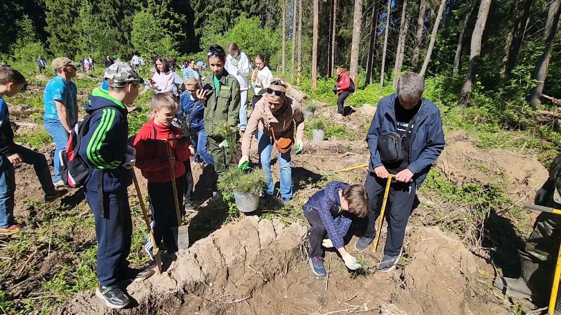 Одинцово, кубинка, лес, экология,