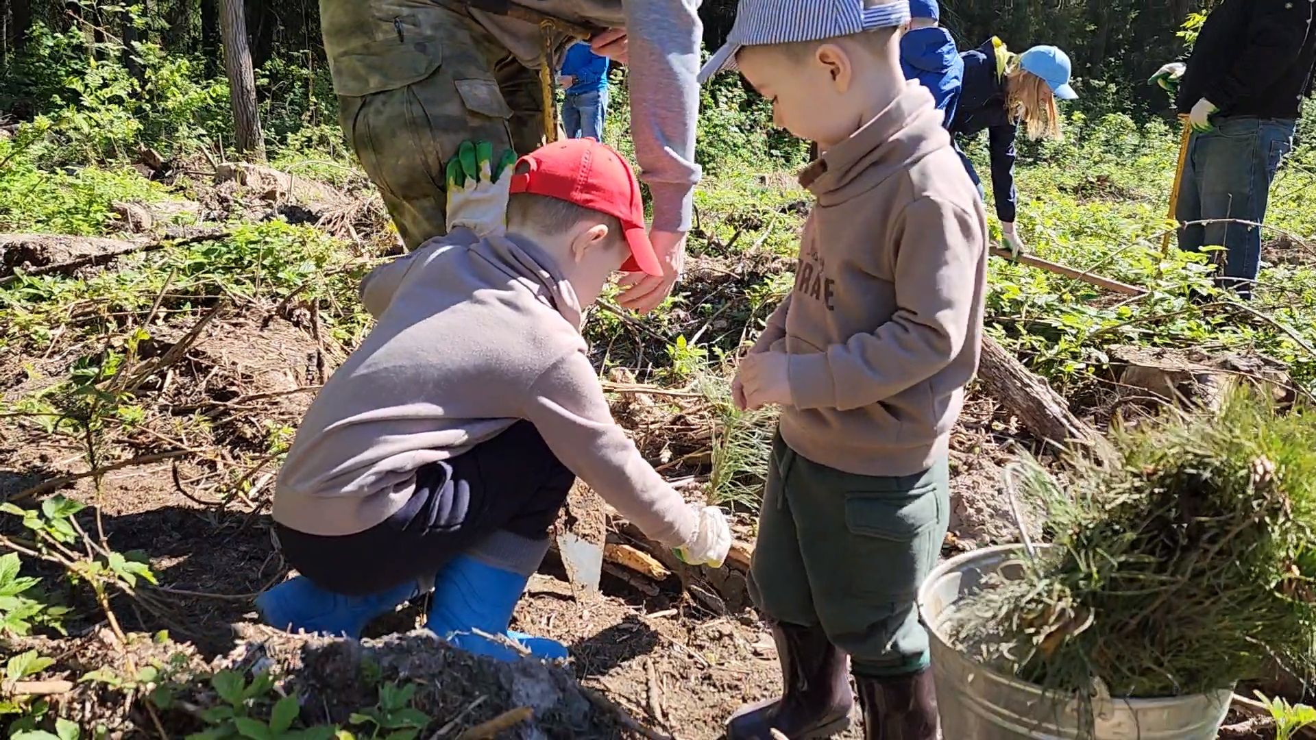 Одинцово, кубинка, лес, экология,