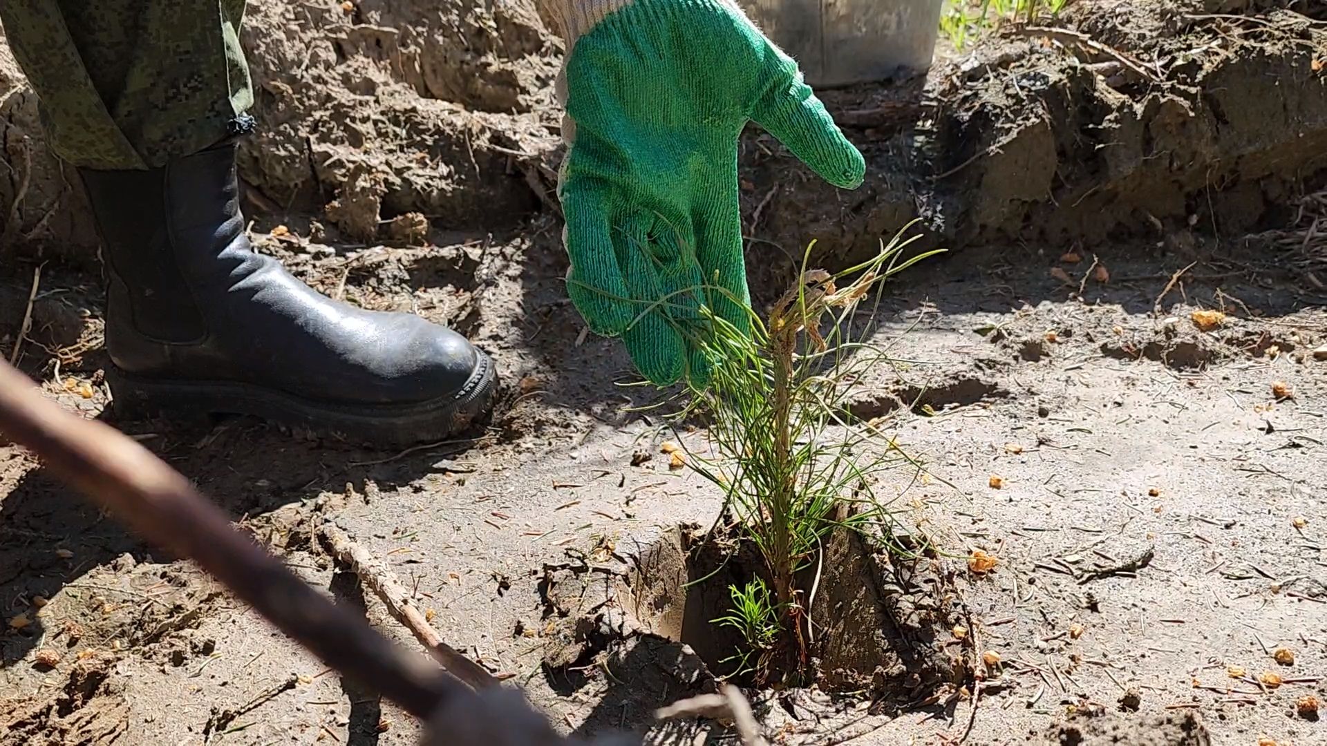 Одинцово, кубинка, лес, экология,