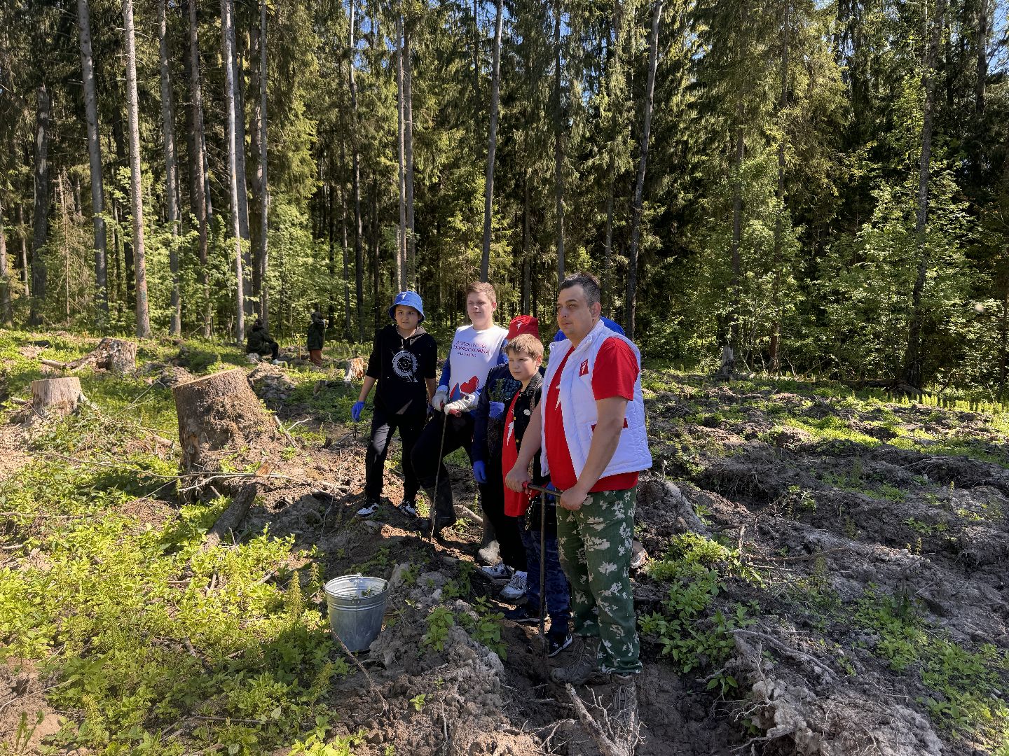 шаховская, школьное лесничество, лес будущего,