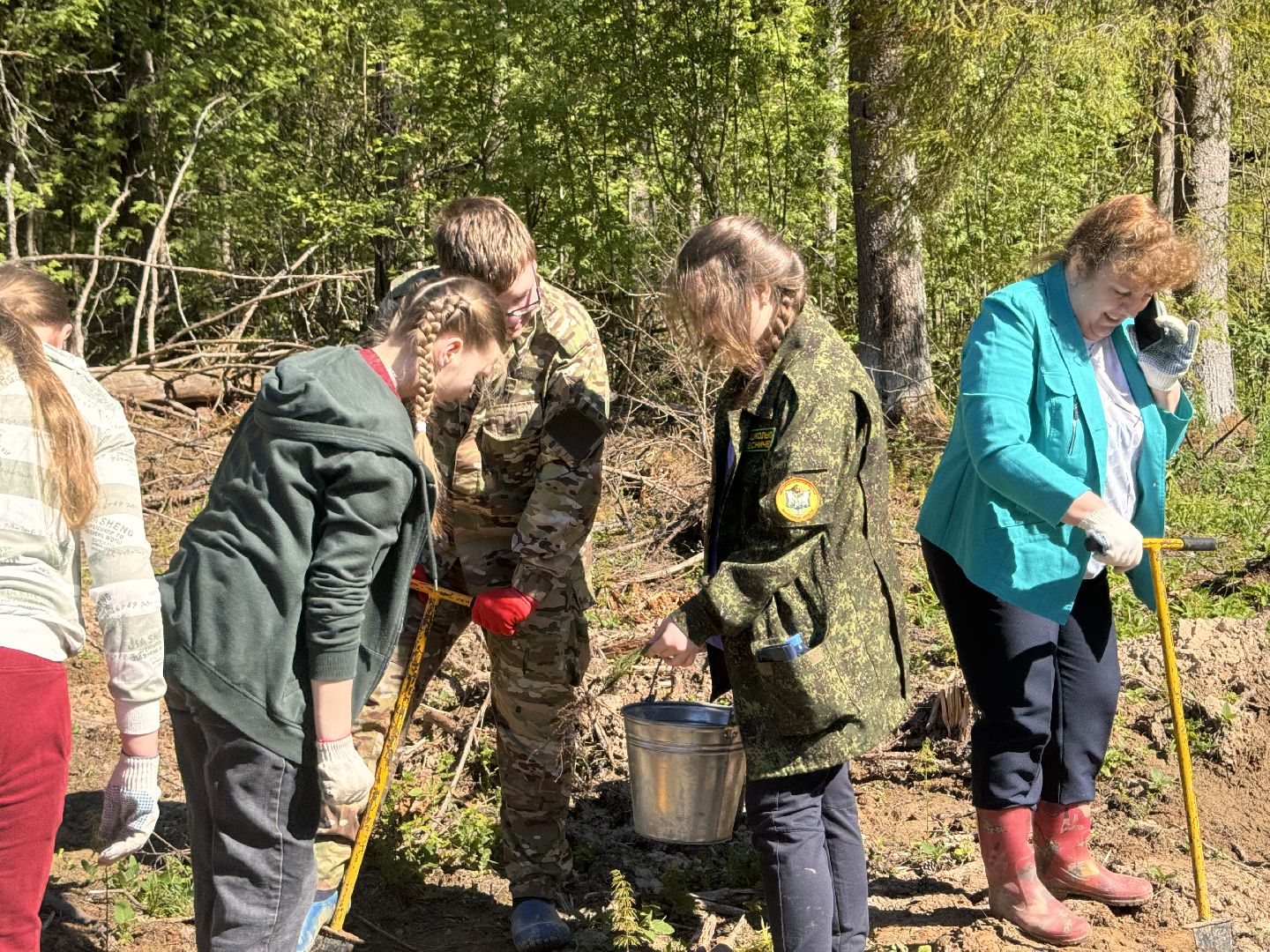 шаховская, школьное лесничество, лес будущего,