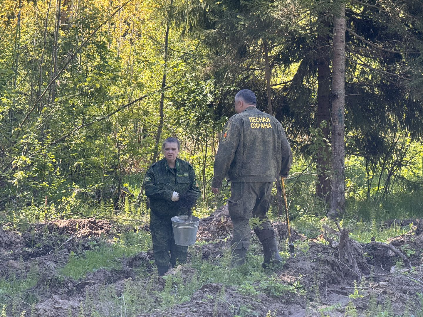 шаховская, школьное лесничество, лес будущего,