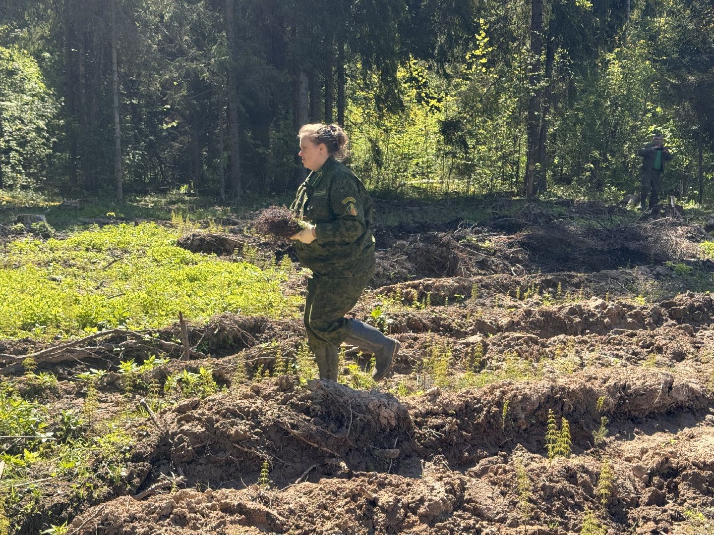 шаховская, школьное лесничество, лес будущего,