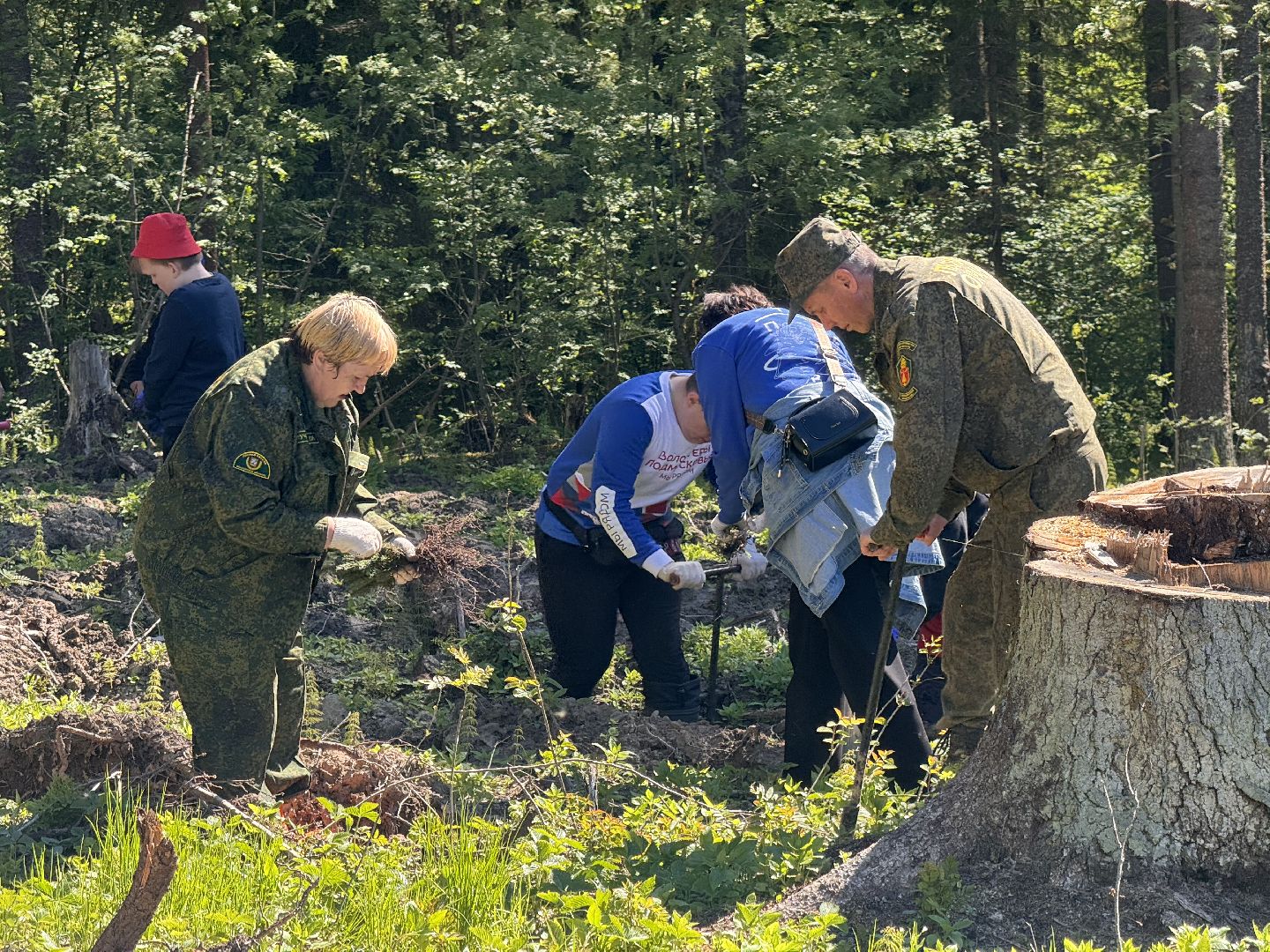 шаховская, школьное лесничество, лес будущего,