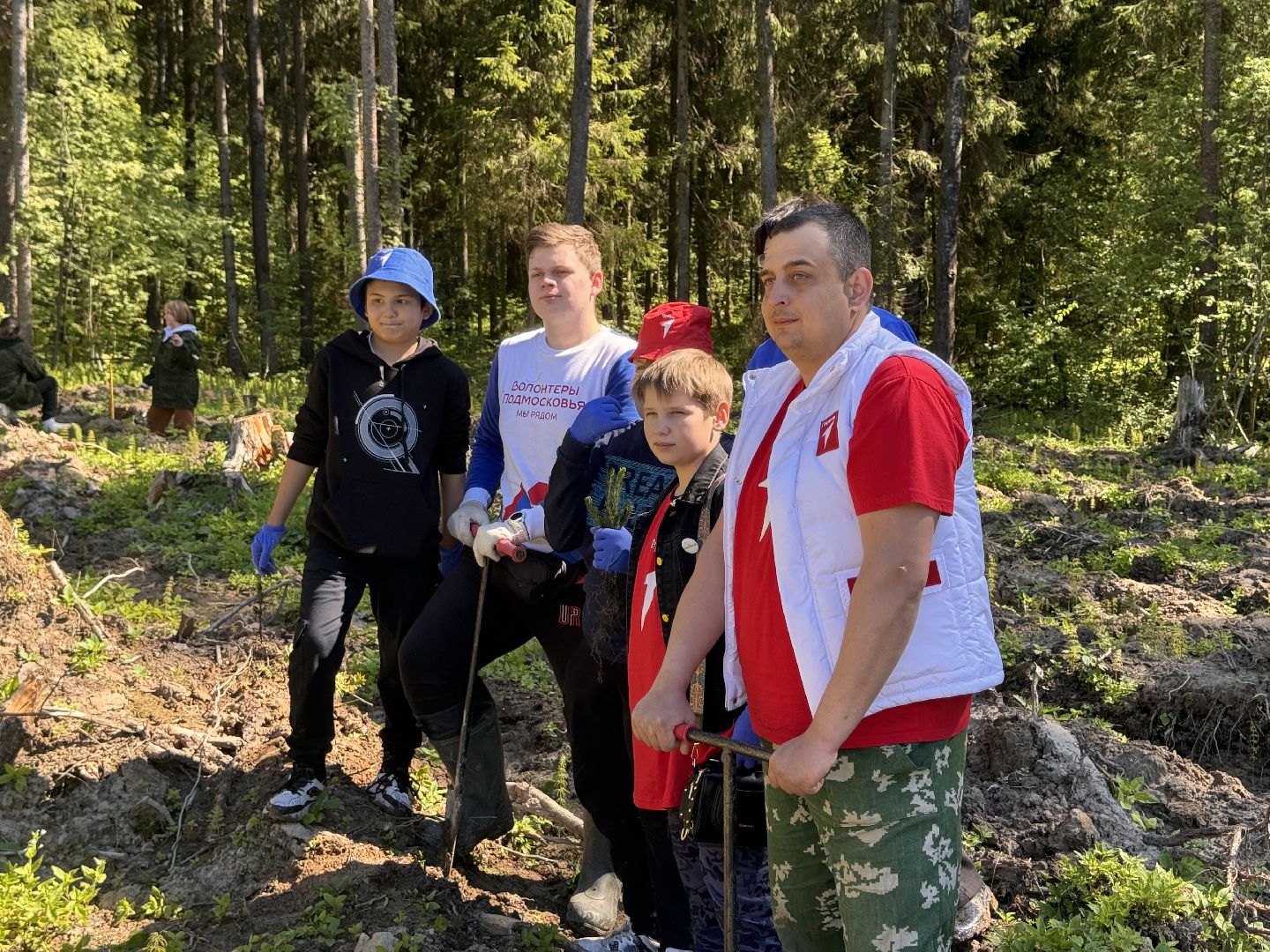 шаховская, школьное лесничество, лес будущего,