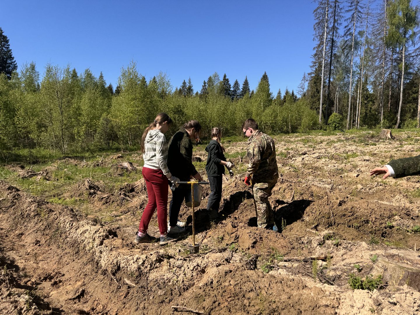 шаховская, школьное лесничество, лес будущего,