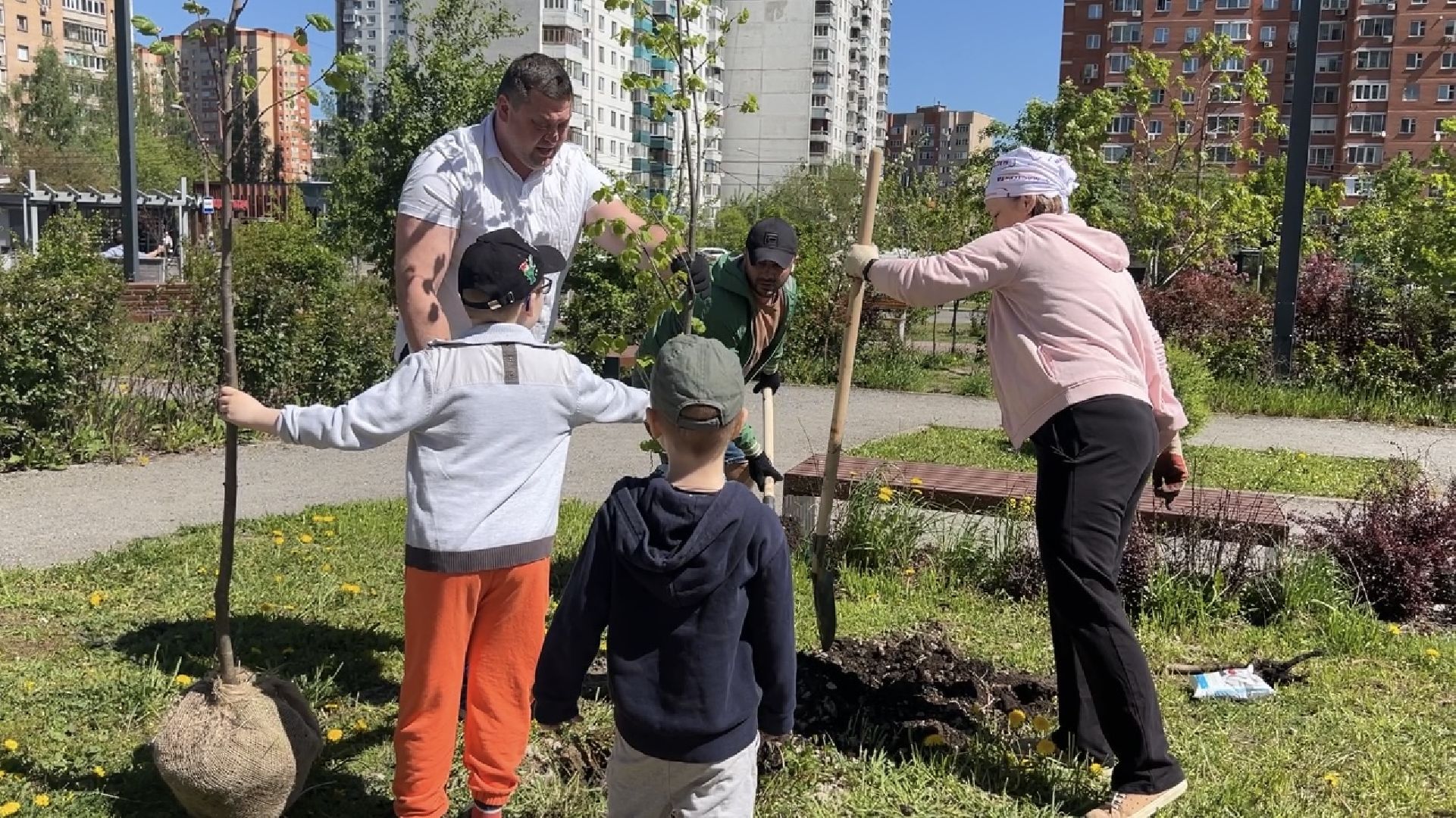 химки, благоустройство, лес будущего, высадка деревьев,