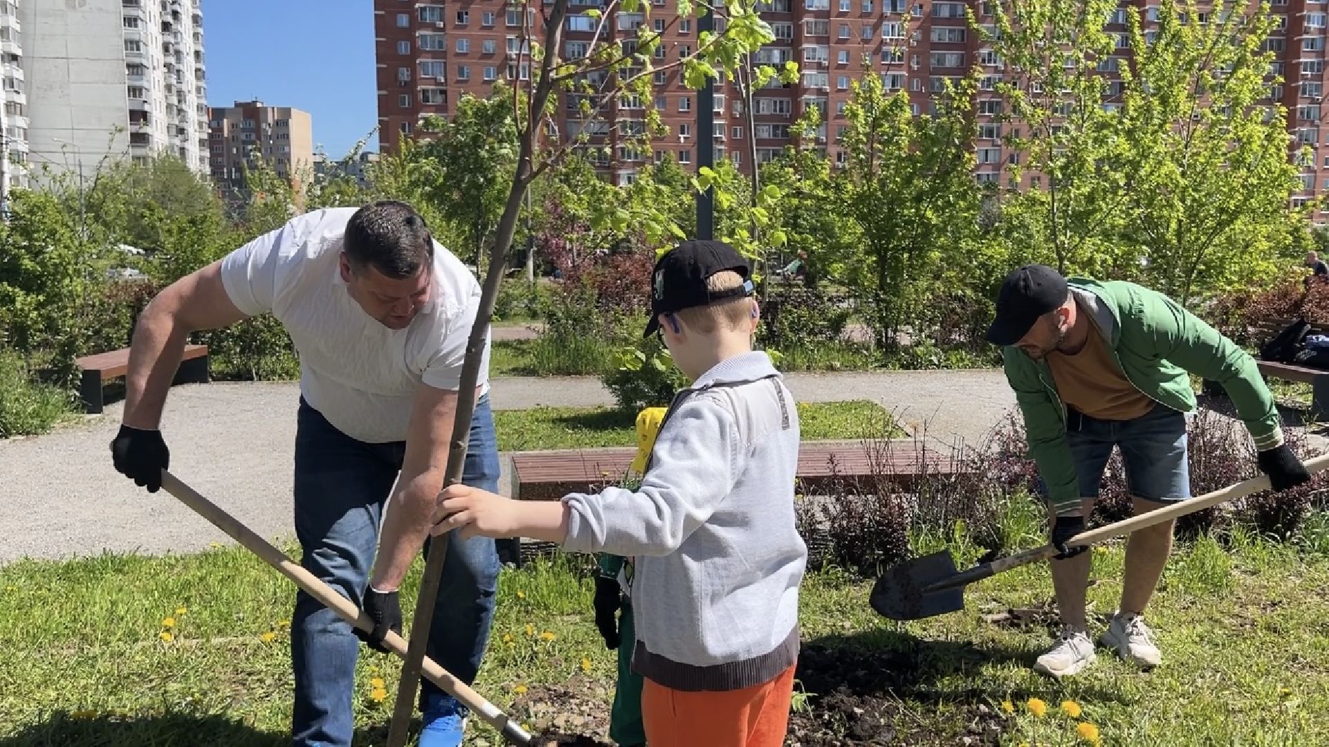 химки, благоустройство, лес будущего, высадка деревьев,