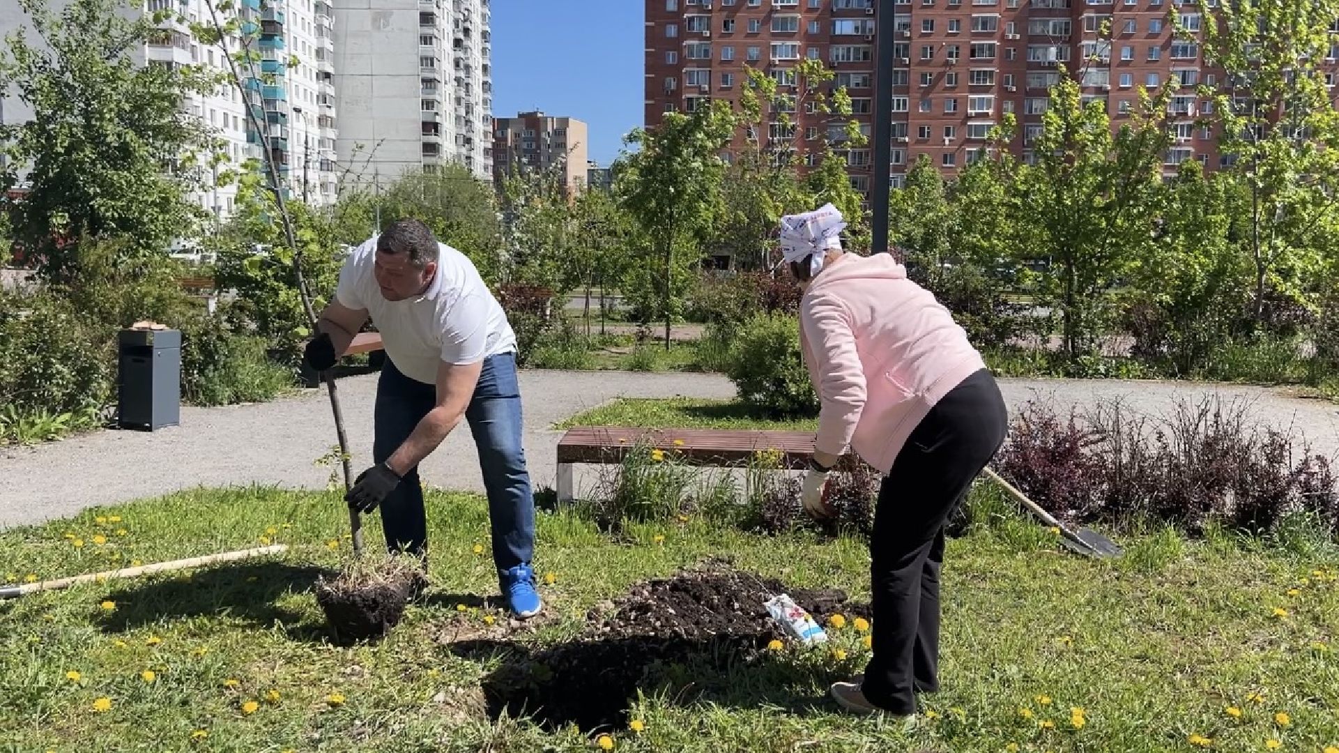химки, благоустройство, лес будущего, высадка деревьев,