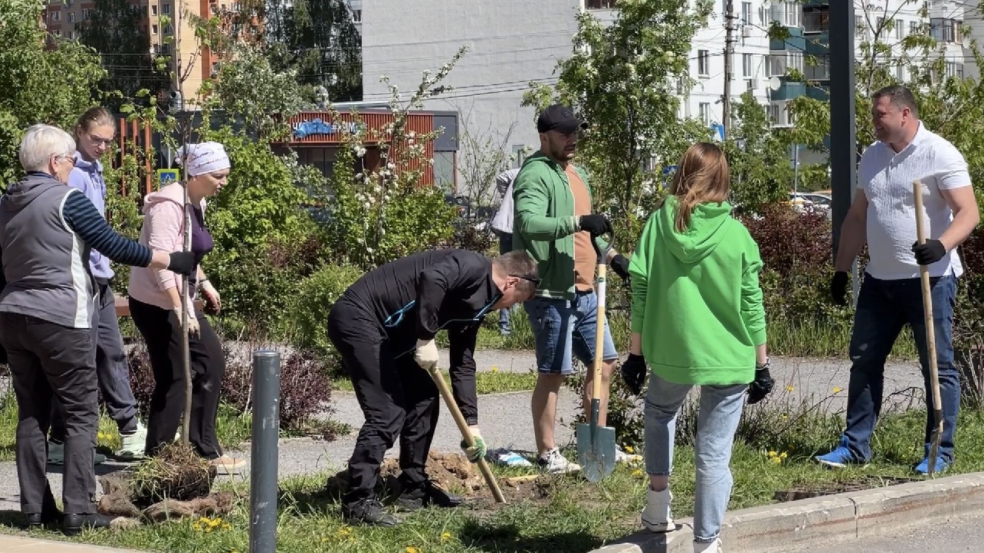 химки, благоустройство, лес будущего, высадка деревьев,