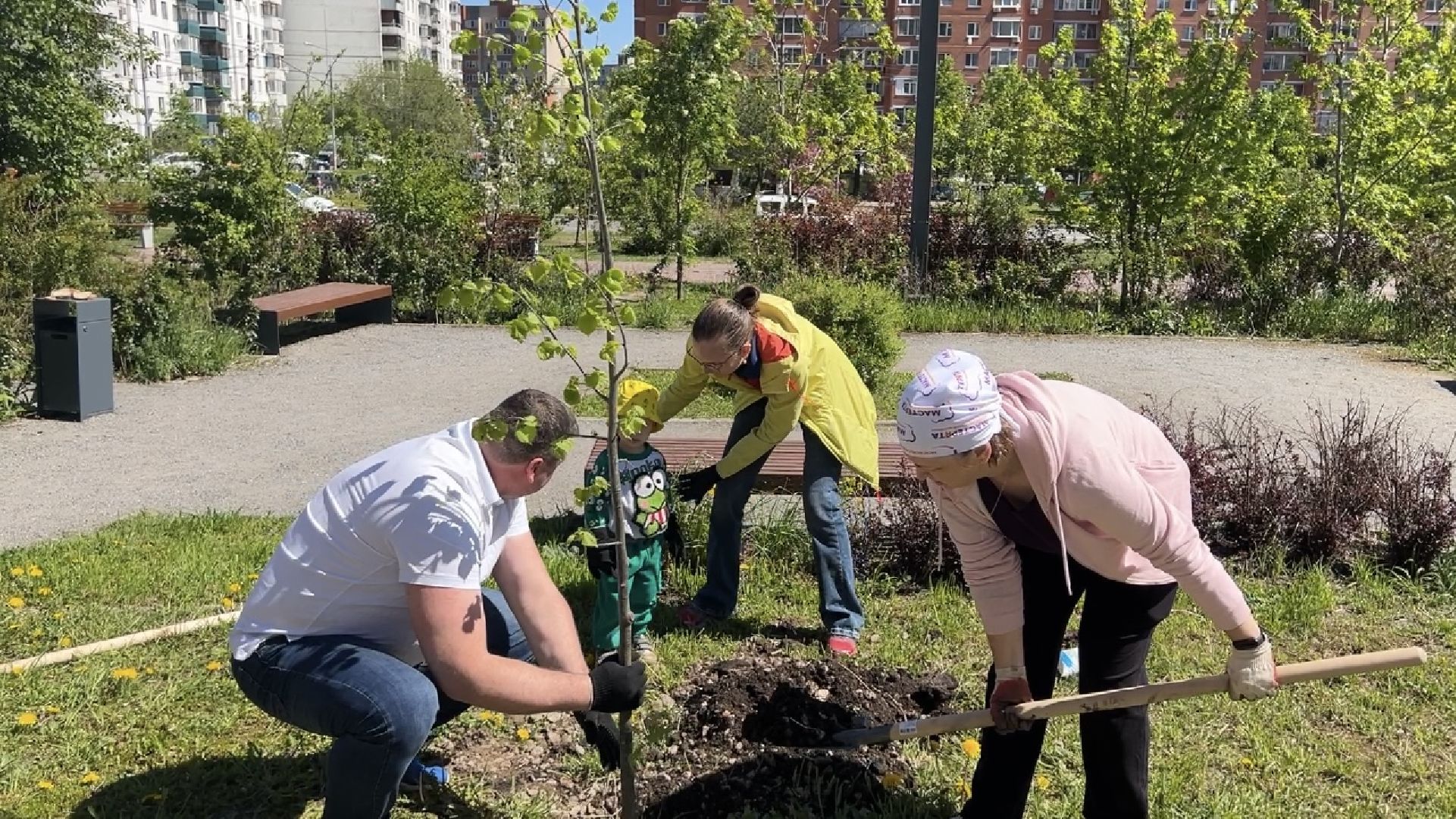 химки, благоустройство, лес будущего, высадка деревьев,
