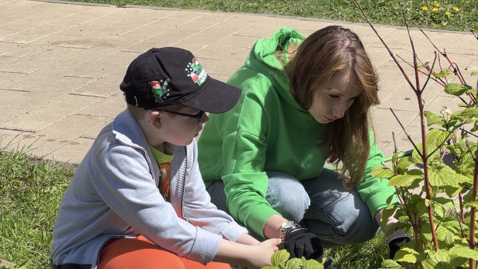 химки, благоустройство, лес будущего, высадка деревьев,