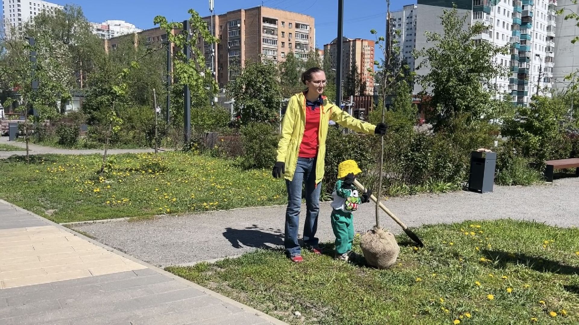 химки, благоустройство, лес будущего, высадка деревьев,