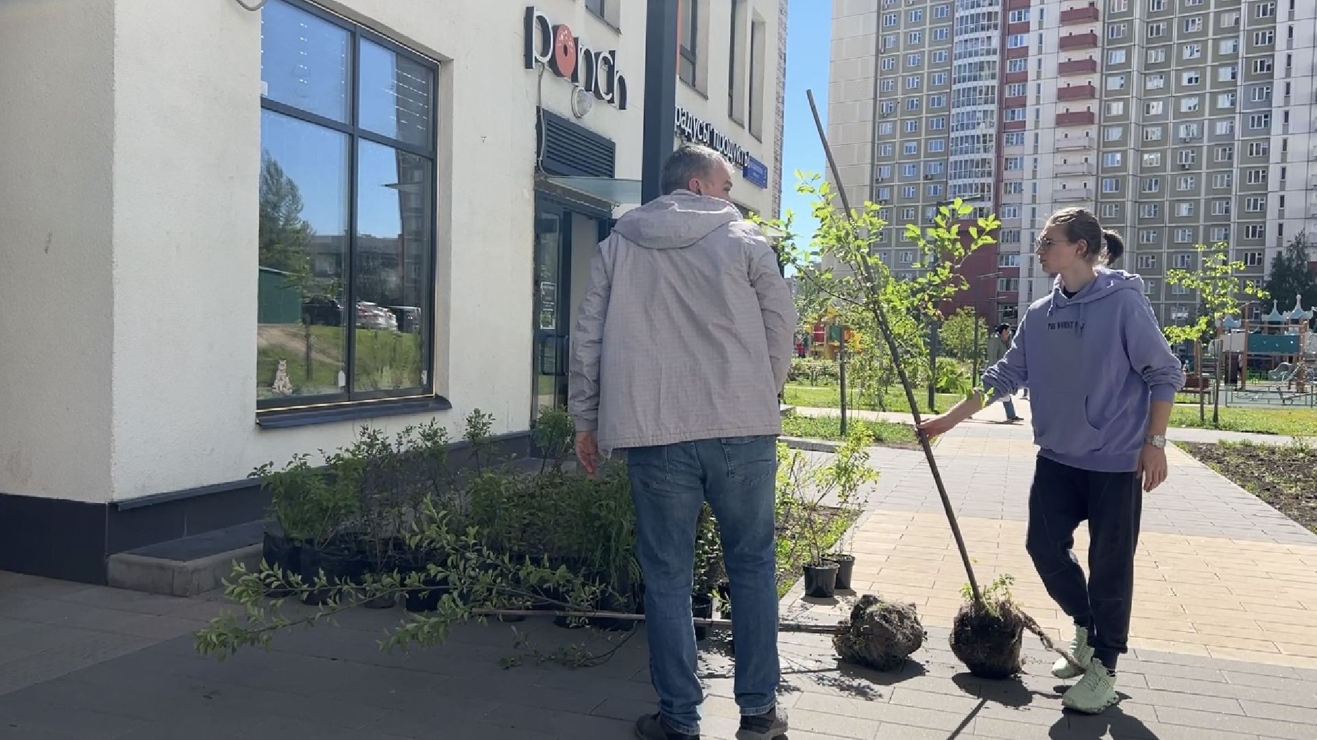 химки, благоустройство, лес будущего, высадка деревьев,