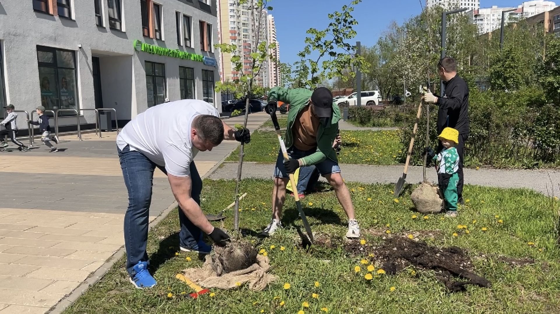 химки, благоустройство, лес будущего, высадка деревьев,