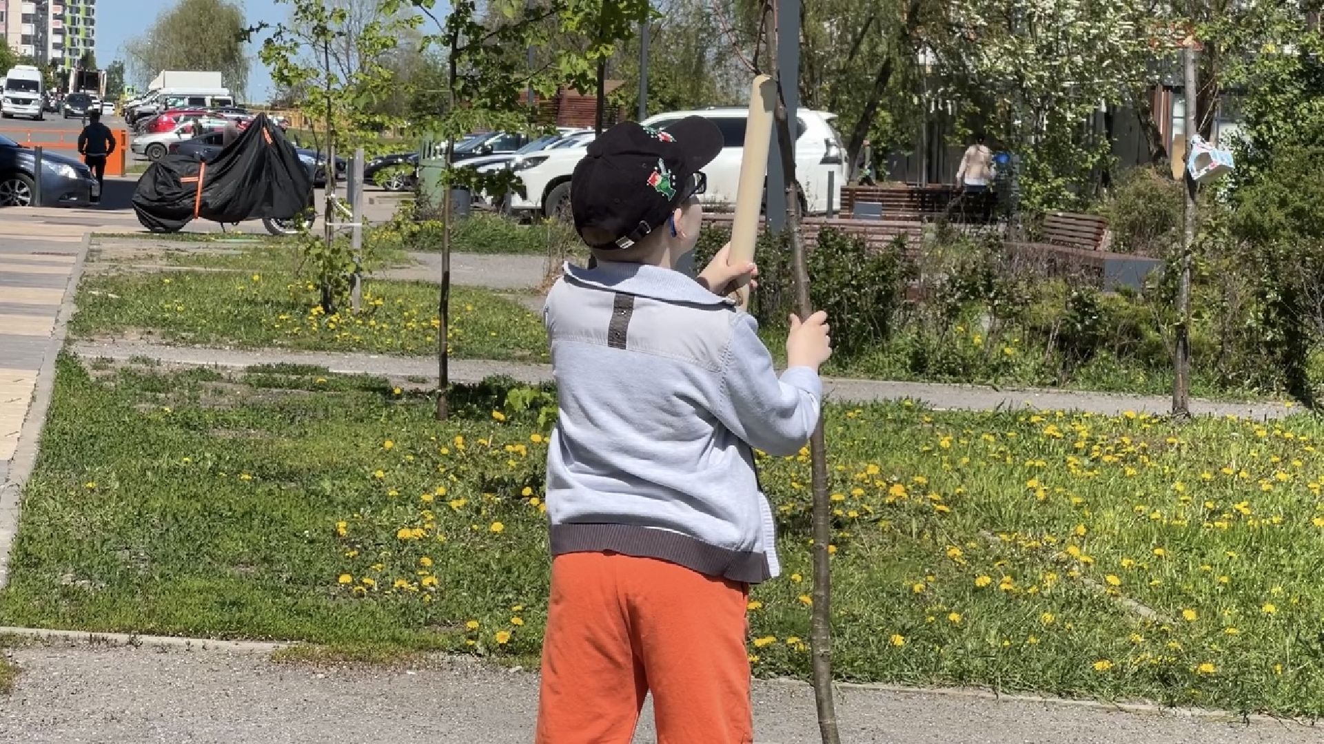 химки, благоустройство, лес будущего, высадка деревьев,