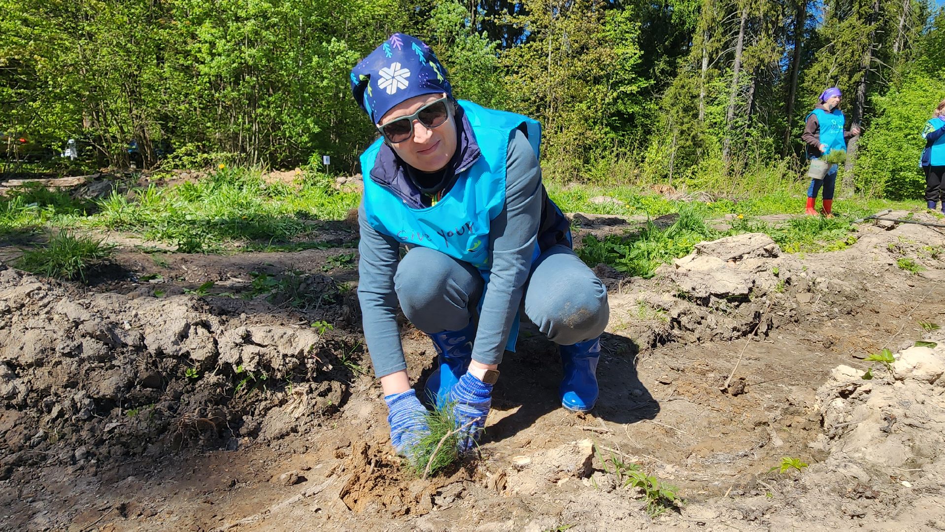 Солнечногорск, экология, лес будущего, комлесхоз,