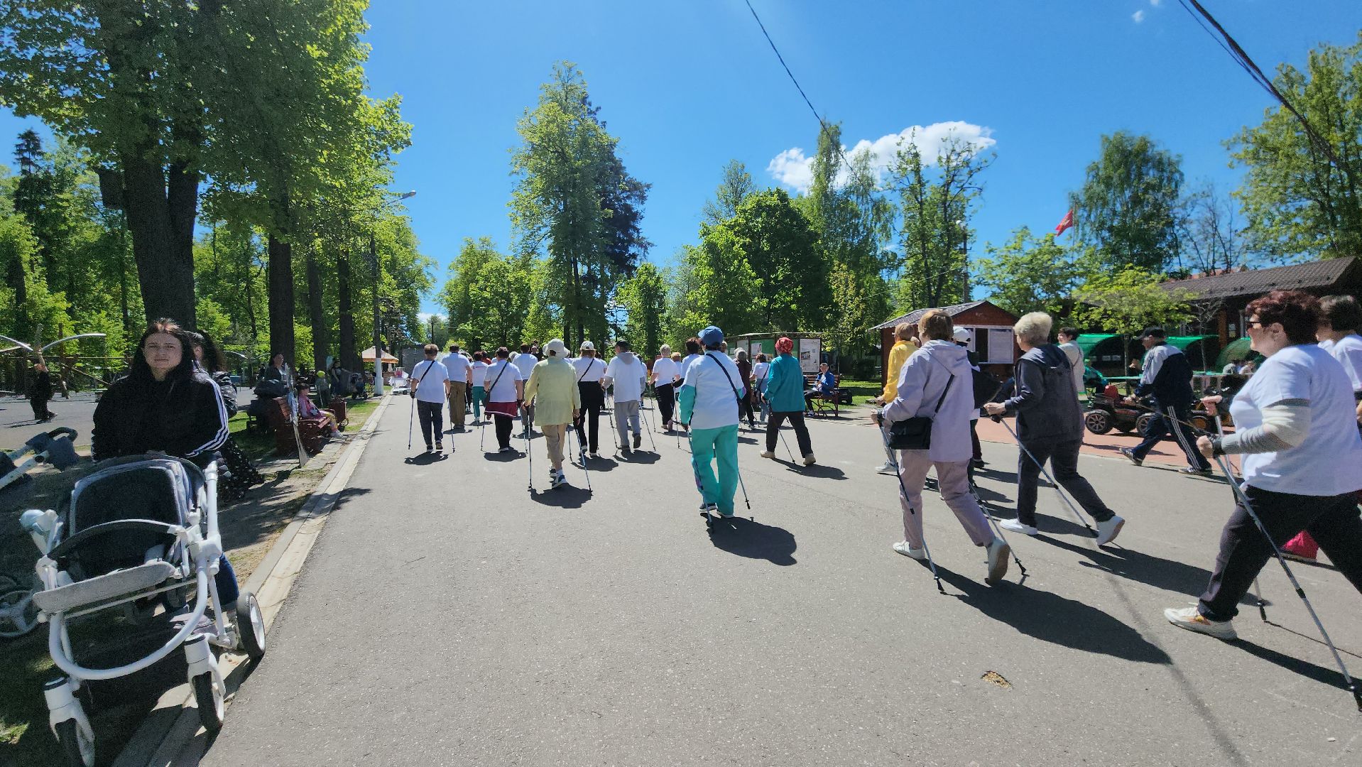 павловский посад, городской округ Павловский Посад, люди, активное долголетие, северная ходьба, спорт,