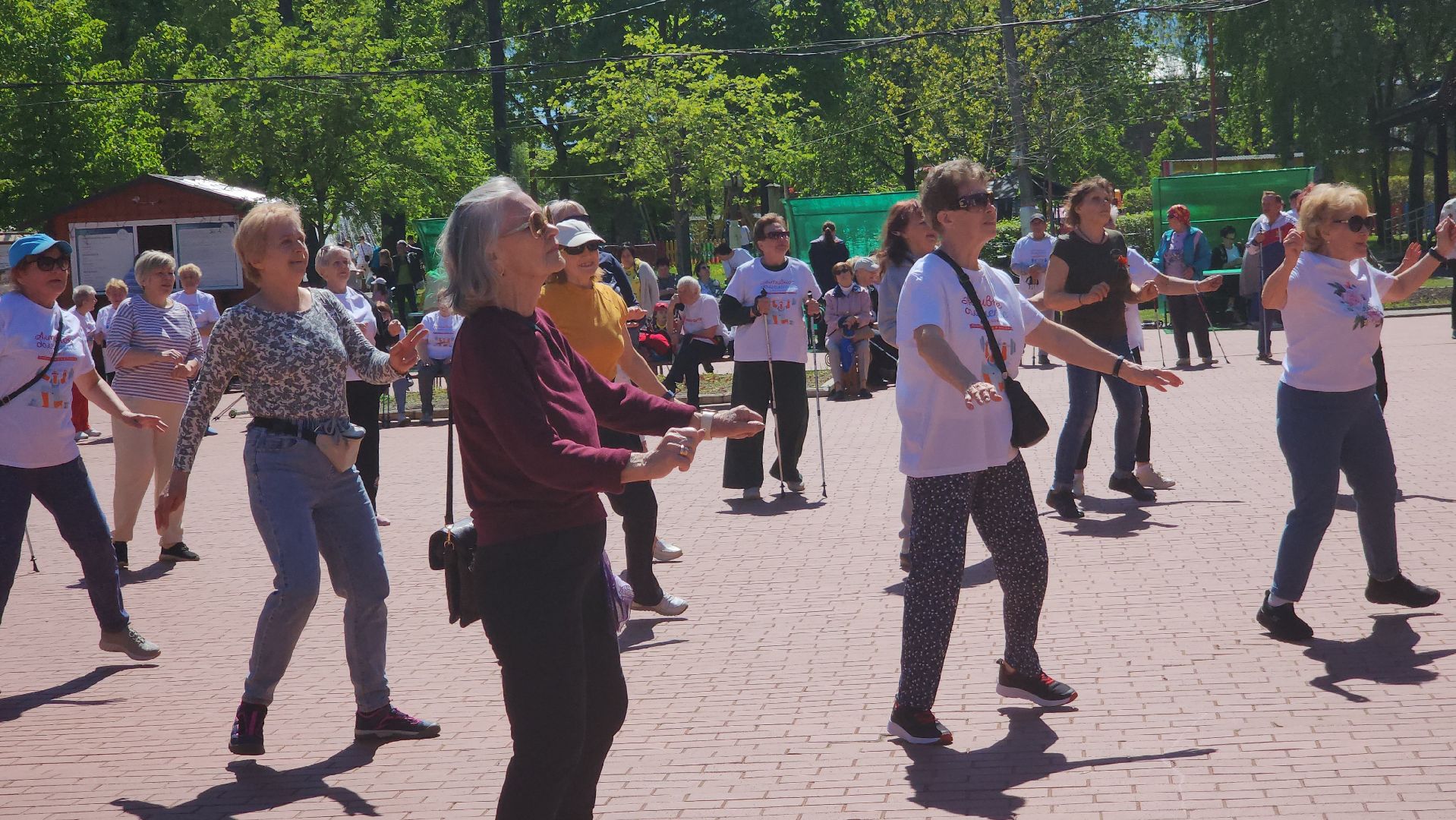 павловский посад, городской округ Павловский Посад, люди, активное долголетие, северная ходьба, спорт,
