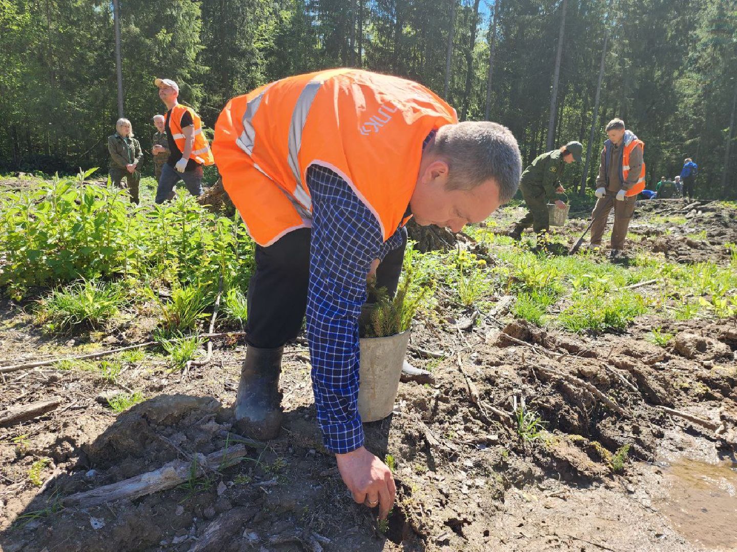можайск, можайский городской округ, подмосковье, акция, патриотическая акция, лес будущего, сад памяти, международная акция, саженцы, посадка деревьев,