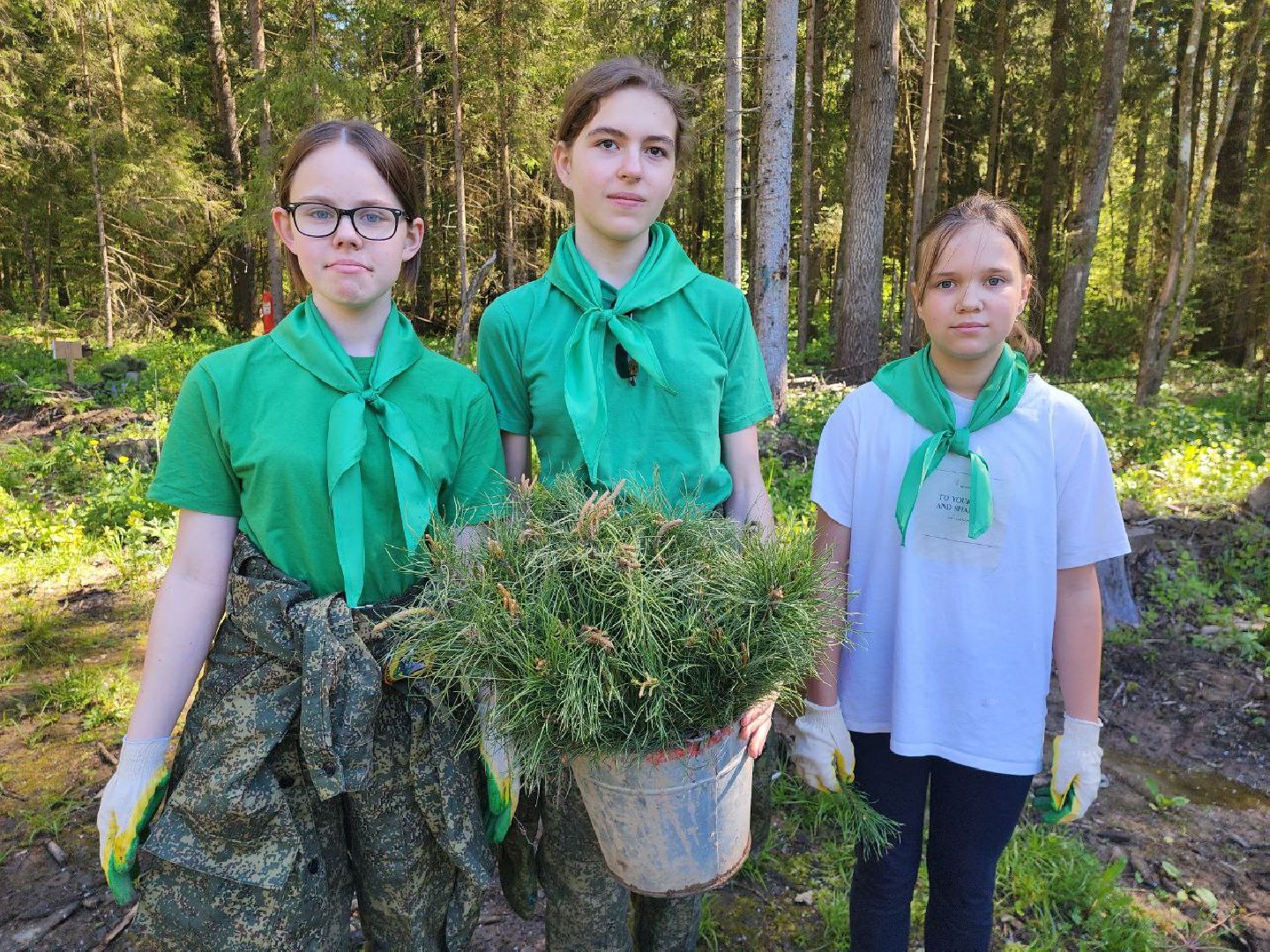 можайск, можайский городской округ, подмосковье, акция, патриотическая акция, лес будущего, сад памяти, международная акция, саженцы, посадка деревьев,