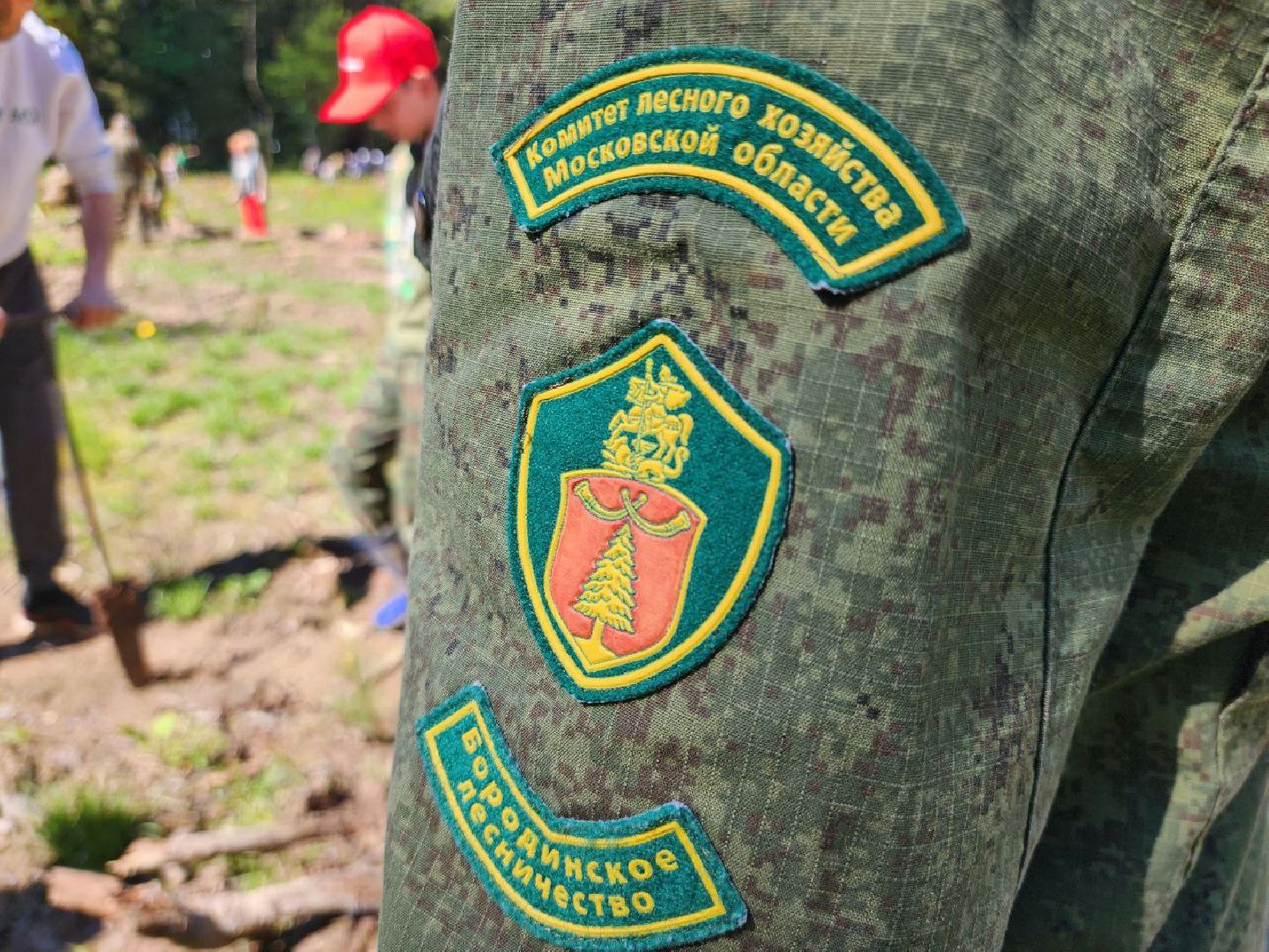 можайск, можайский городской округ, подмосковье, акция, патриотическая акция, лес будущего, сад памяти, международная акция, саженцы, посадка деревьев,