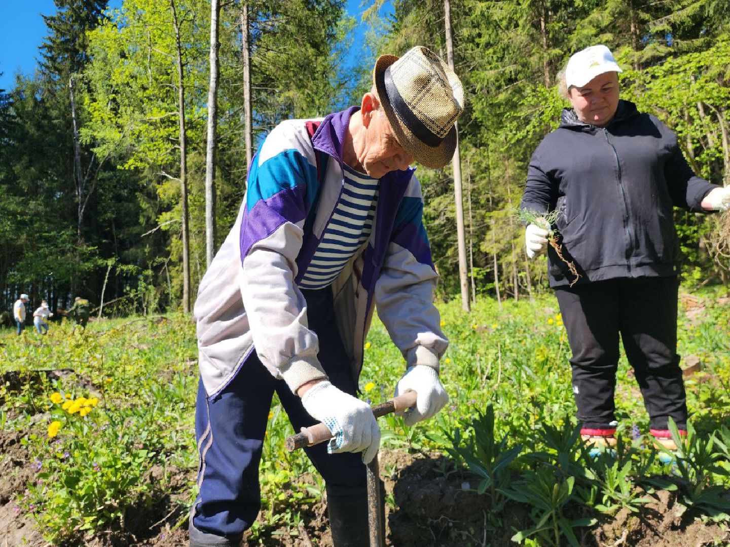 можайск, можайский городской округ, подмосковье, акция, патриотическая акция, лес будущего, сад памяти, международная акция, саженцы, посадка деревьев,