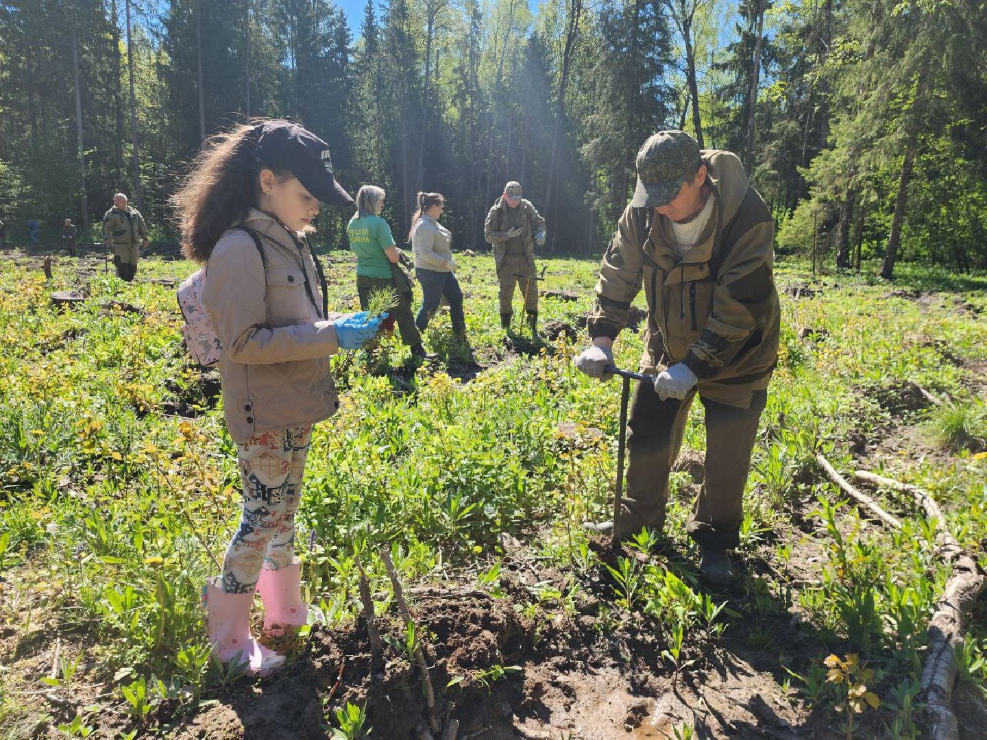 можайск, можайский городской округ, подмосковье, акция, патриотическая акция, лес будущего, сад памяти, международная акция, саженцы, посадка деревьев,