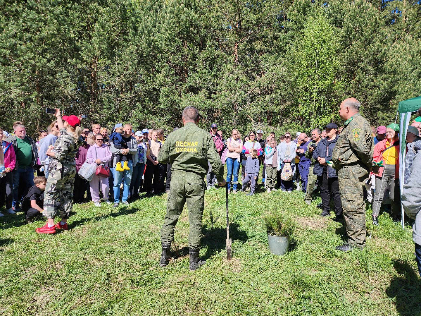 серпухов, подмосковье, сажают лес, лес будущего,