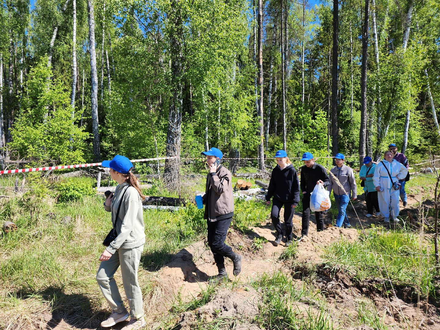 серпухов, подмосковье, сажают лес, лес будущего,