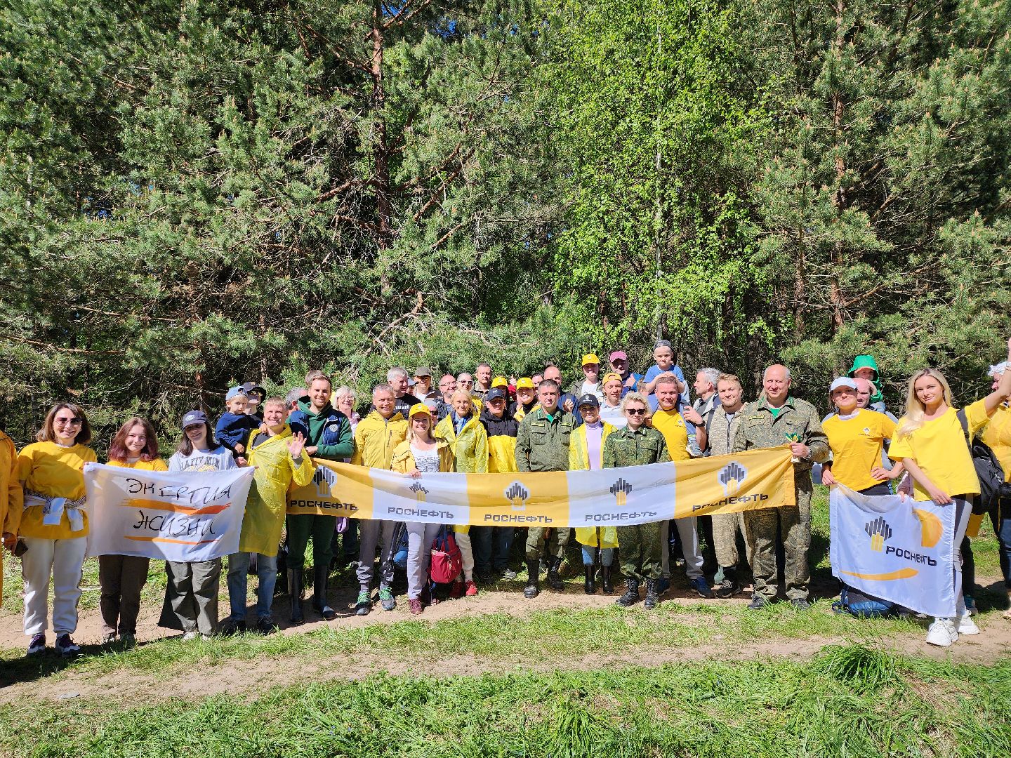 серпухов, подмосковье, сажают лес, лес будущего,