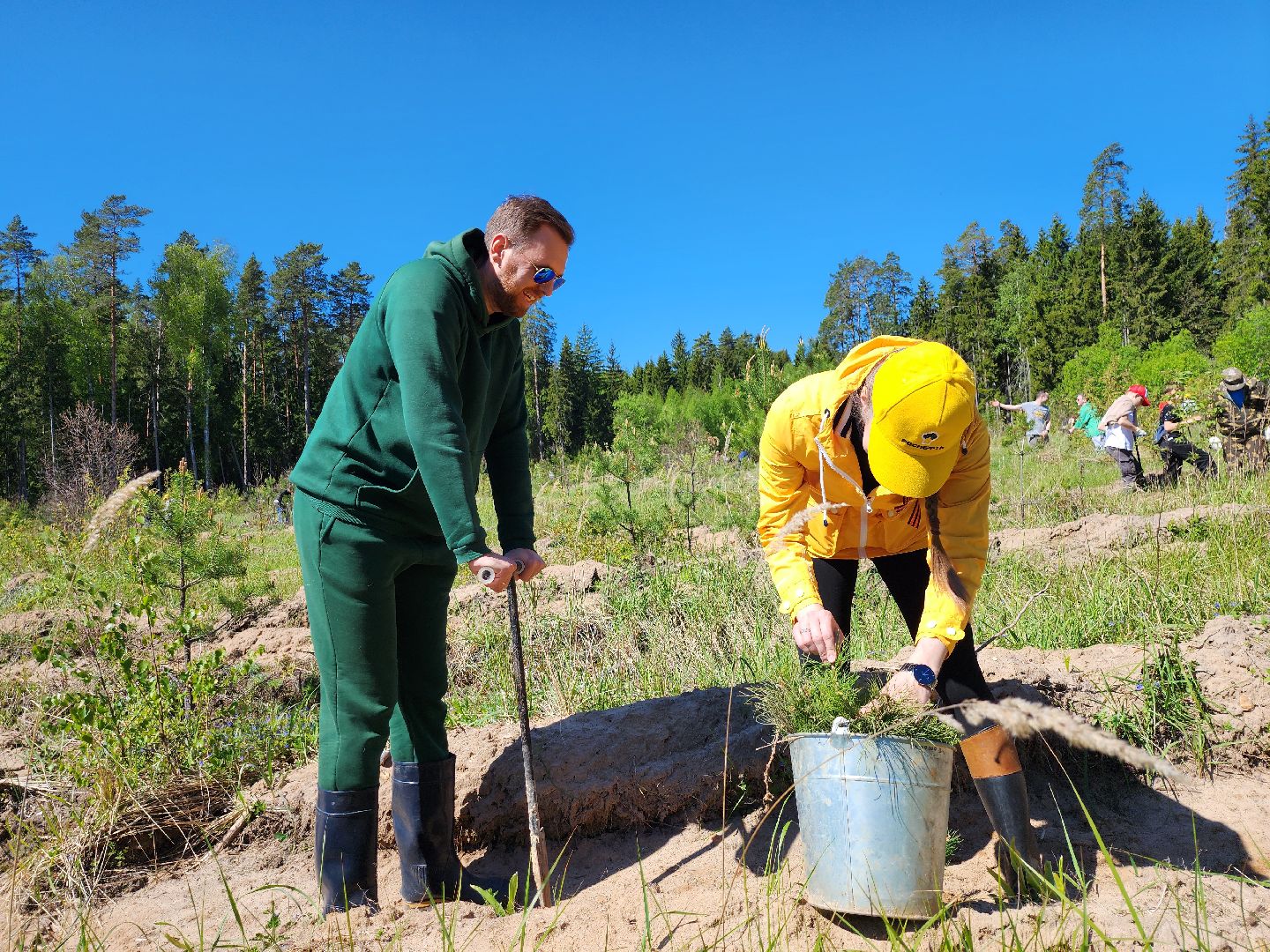 серпухов, подмосковье, сажают лес, лес будущего,