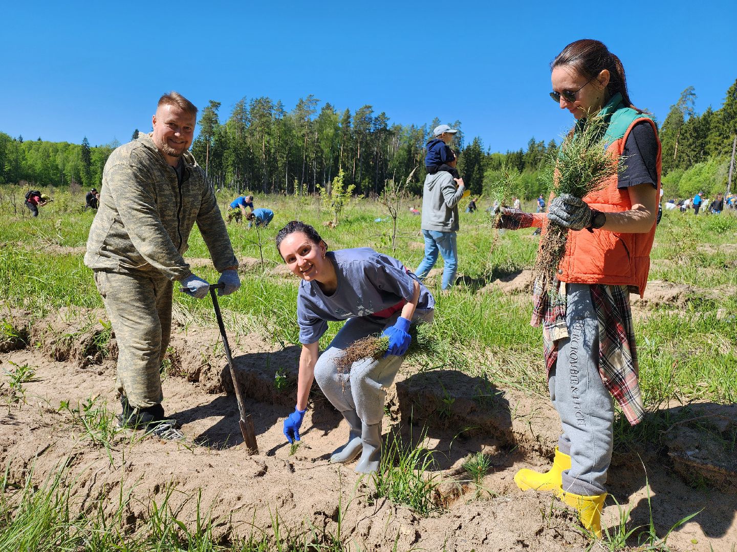 серпухов, подмосковье, сажают лес, лес будущего,