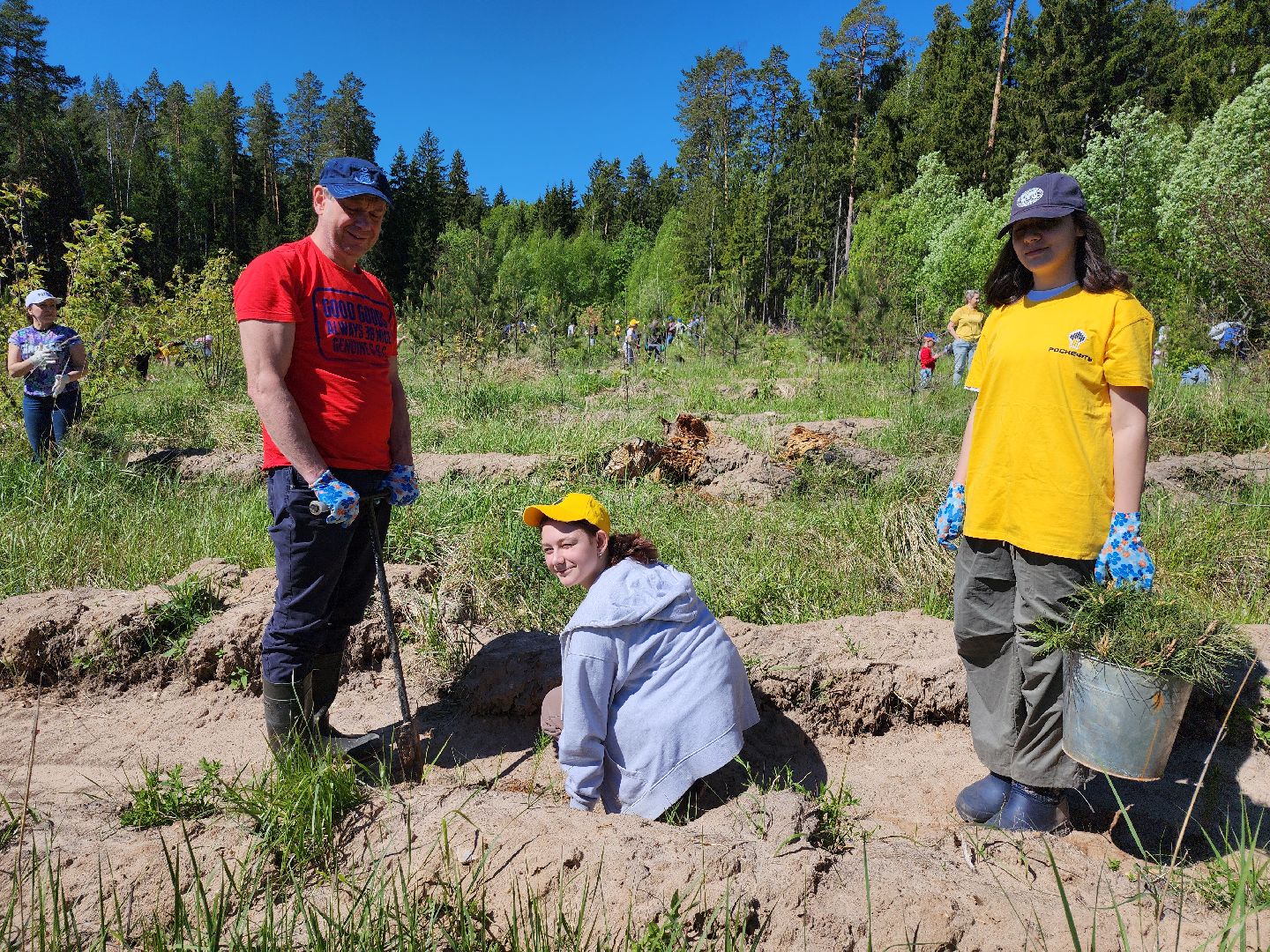 серпухов, подмосковье, сажают лес, лес будущего,
