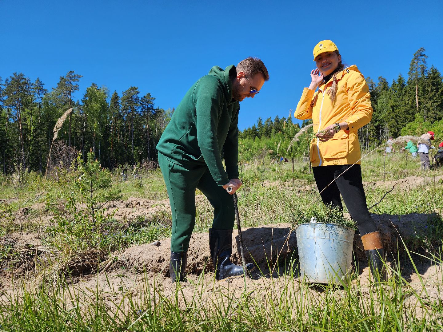 серпухов, подмосковье, сажают лес, лес будущего,