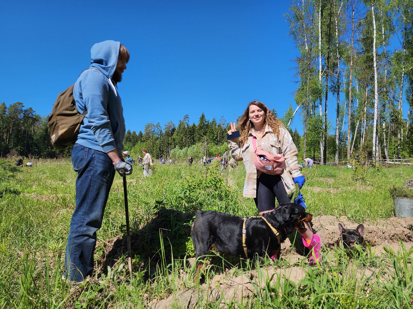 серпухов, подмосковье, сажают лес, лес будущего,