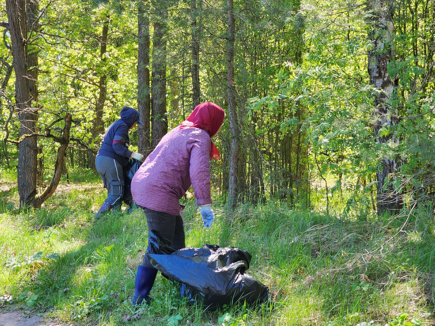 воскресенск, субботник, снт, жители,