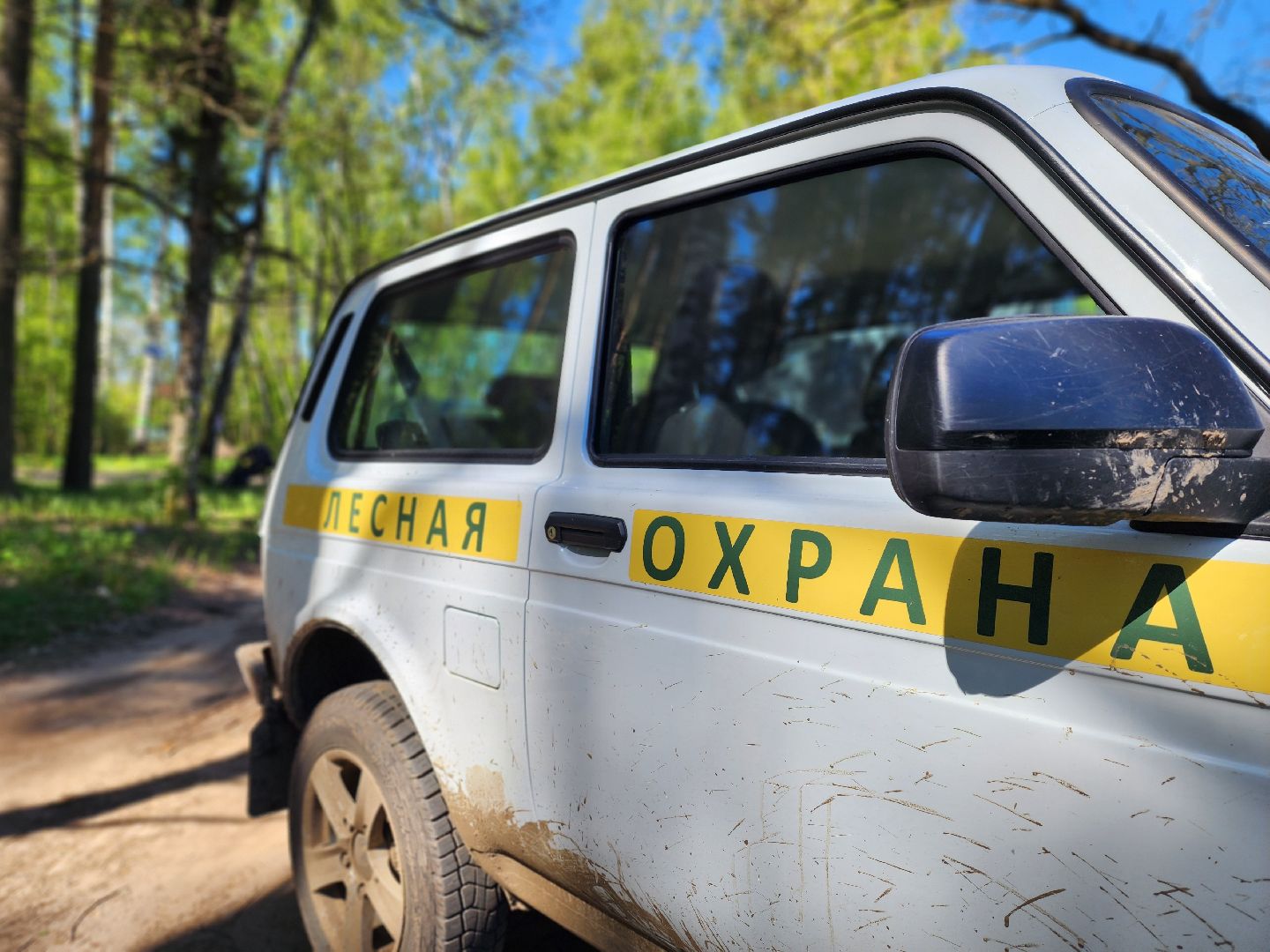 воскресенск, субботник, снт, жители,