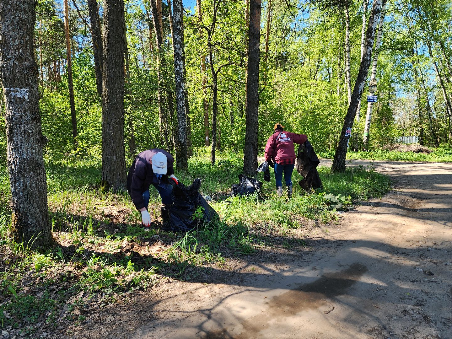 воскресенск, субботник, снт, жители,
