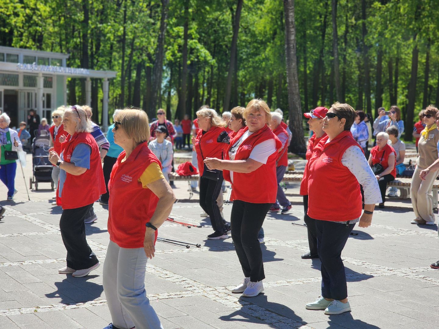 воскресенск, скандинавская ходьба, активное долголетие, парк кривякино,