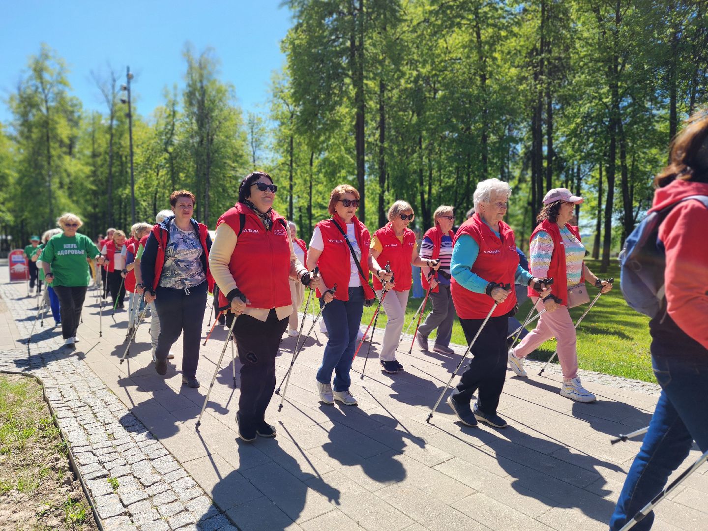 воскресенск, скандинавская ходьба, активное долголетие, парк кривякино,