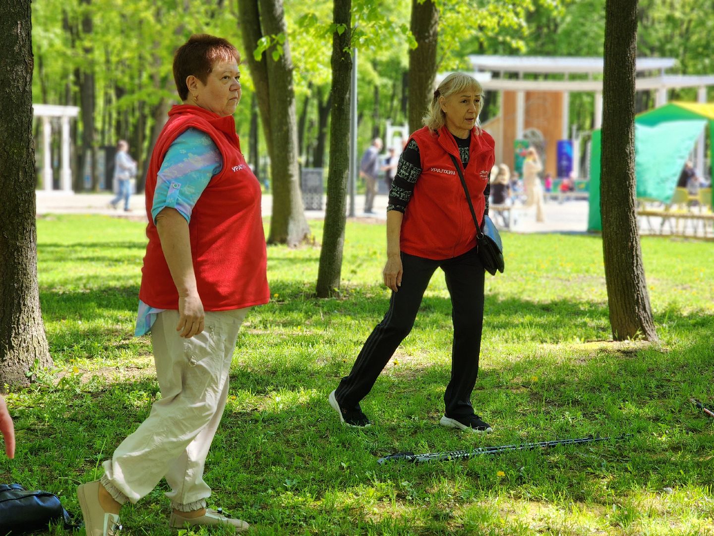 воскресенск, скандинавская ходьба, активное долголетие, парк кривякино,