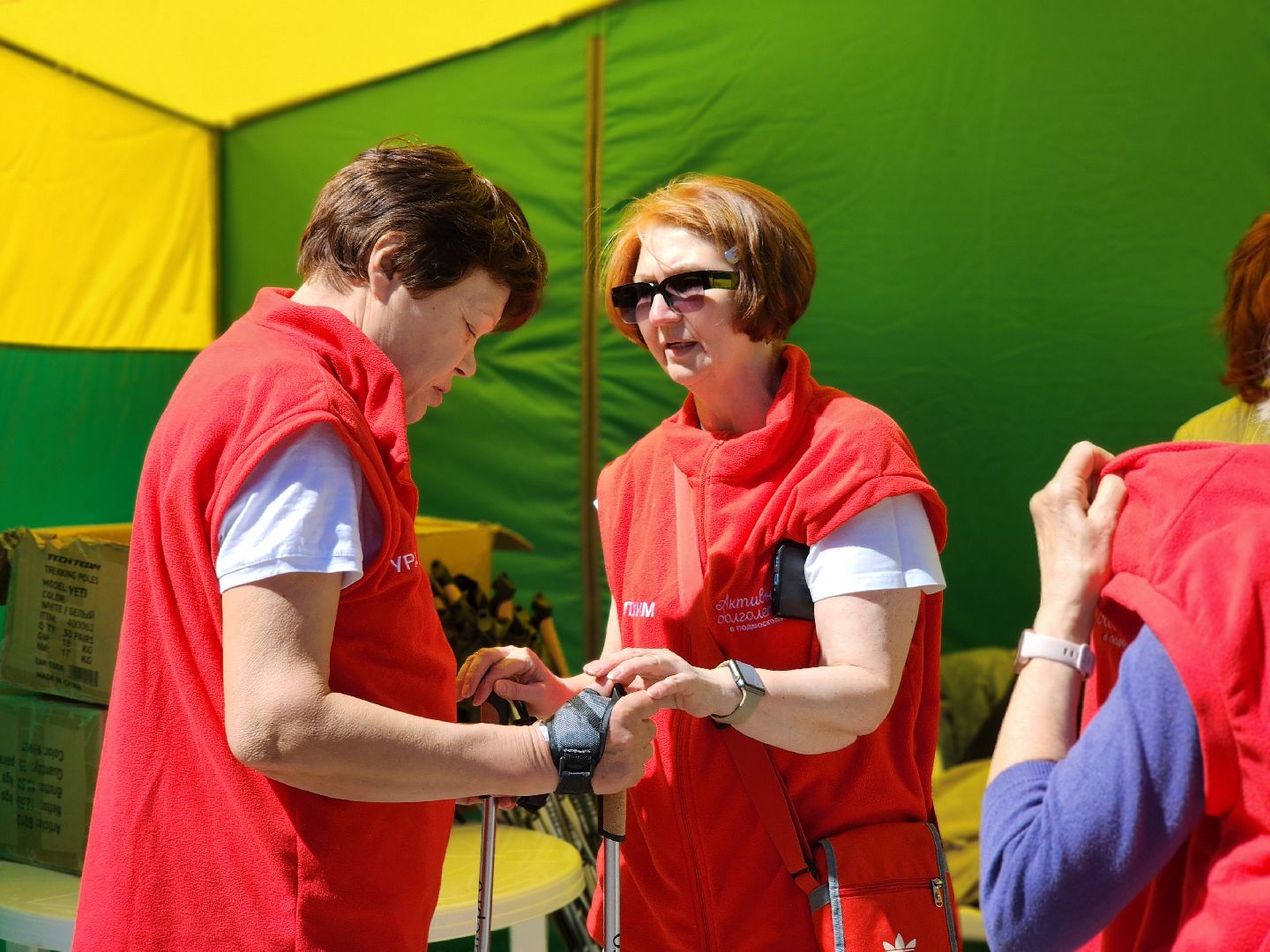 воскресенск, скандинавская ходьба, активное долголетие, парк кривякино,