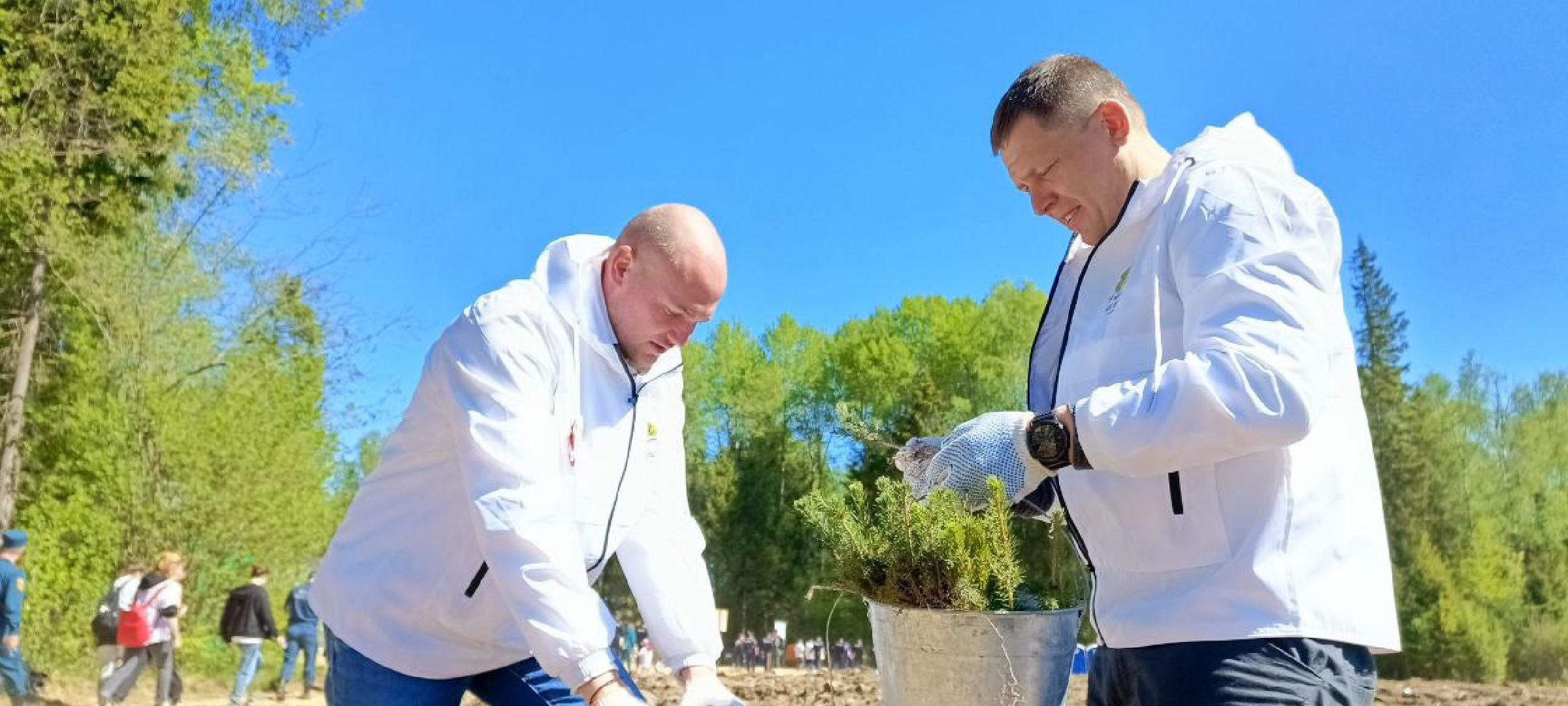 Дмитров, Лес будущего,