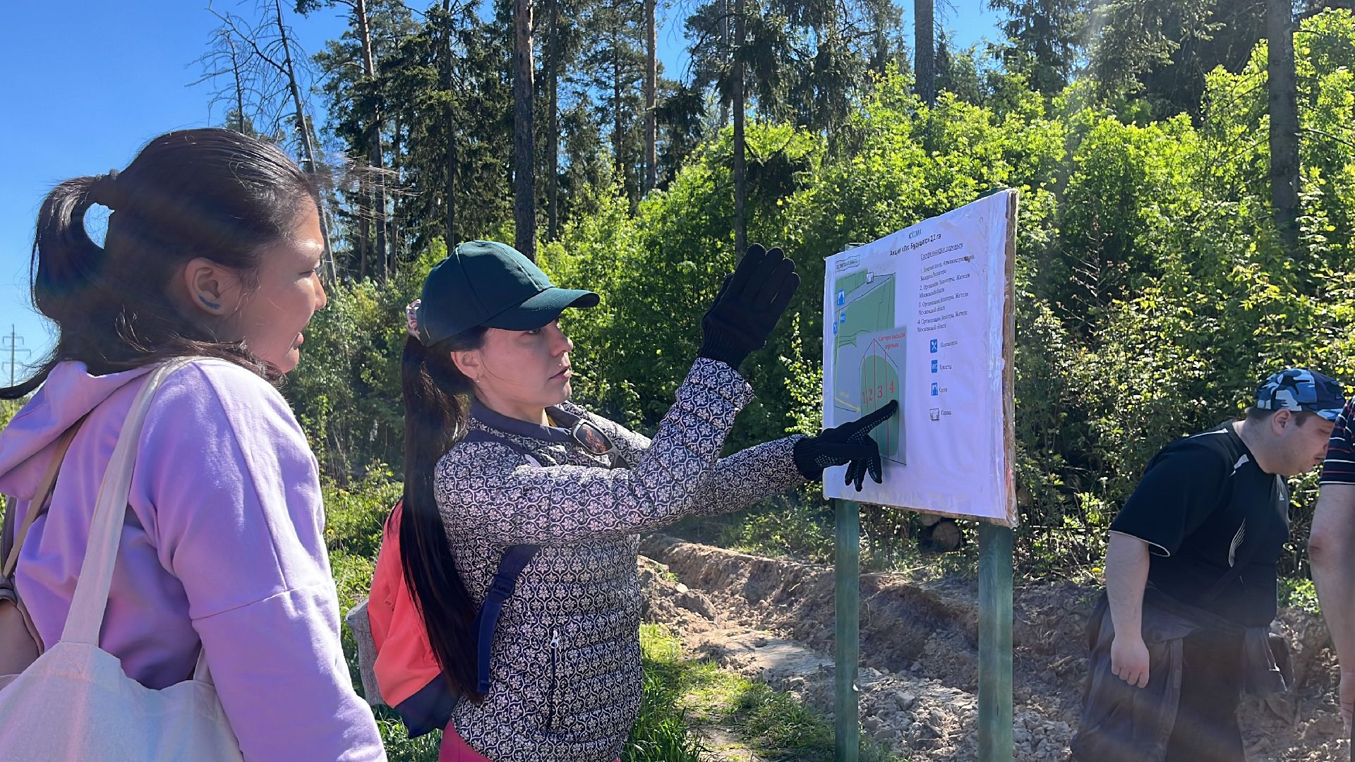 акция, экоакция, экологическая акция, лес будущего, саженцы, сосна, сосны,