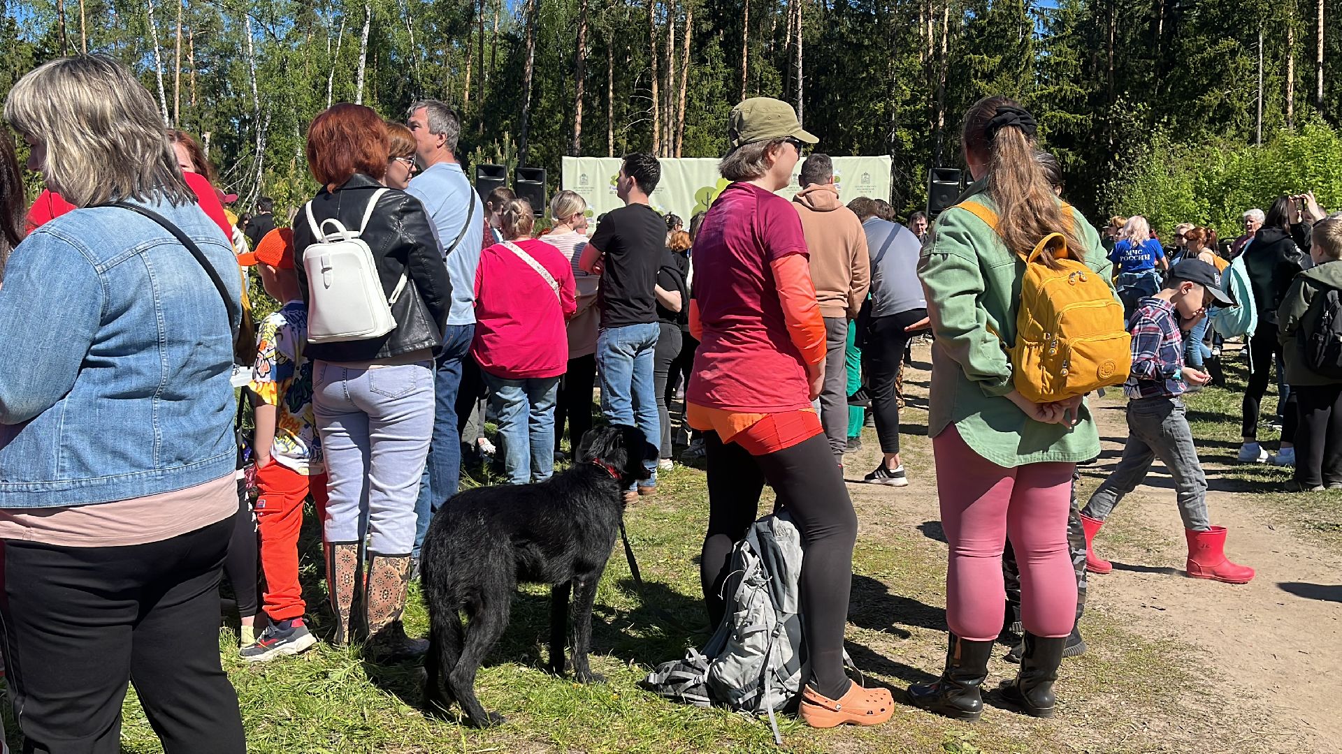 акция, экоакция, экологическая акция, лес будущего, саженцы, сосна, сосны,