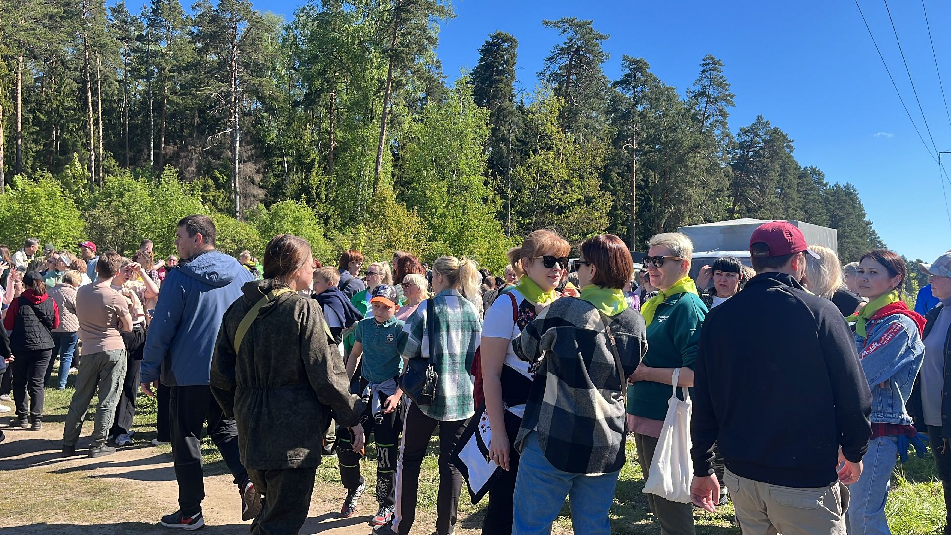 акция, экоакция, экологическая акция, лес будущего, саженцы, сосна, сосны,