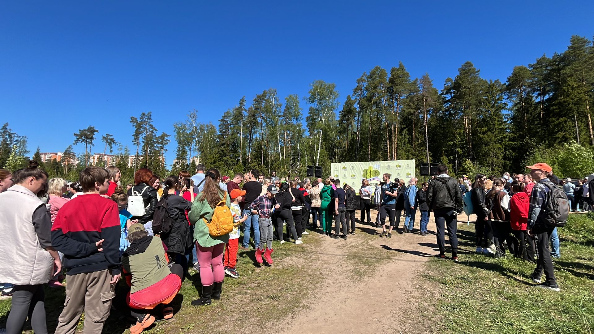 акция, экоакция, экологическая акция, лес будущего, саженцы, сосна, сосны,