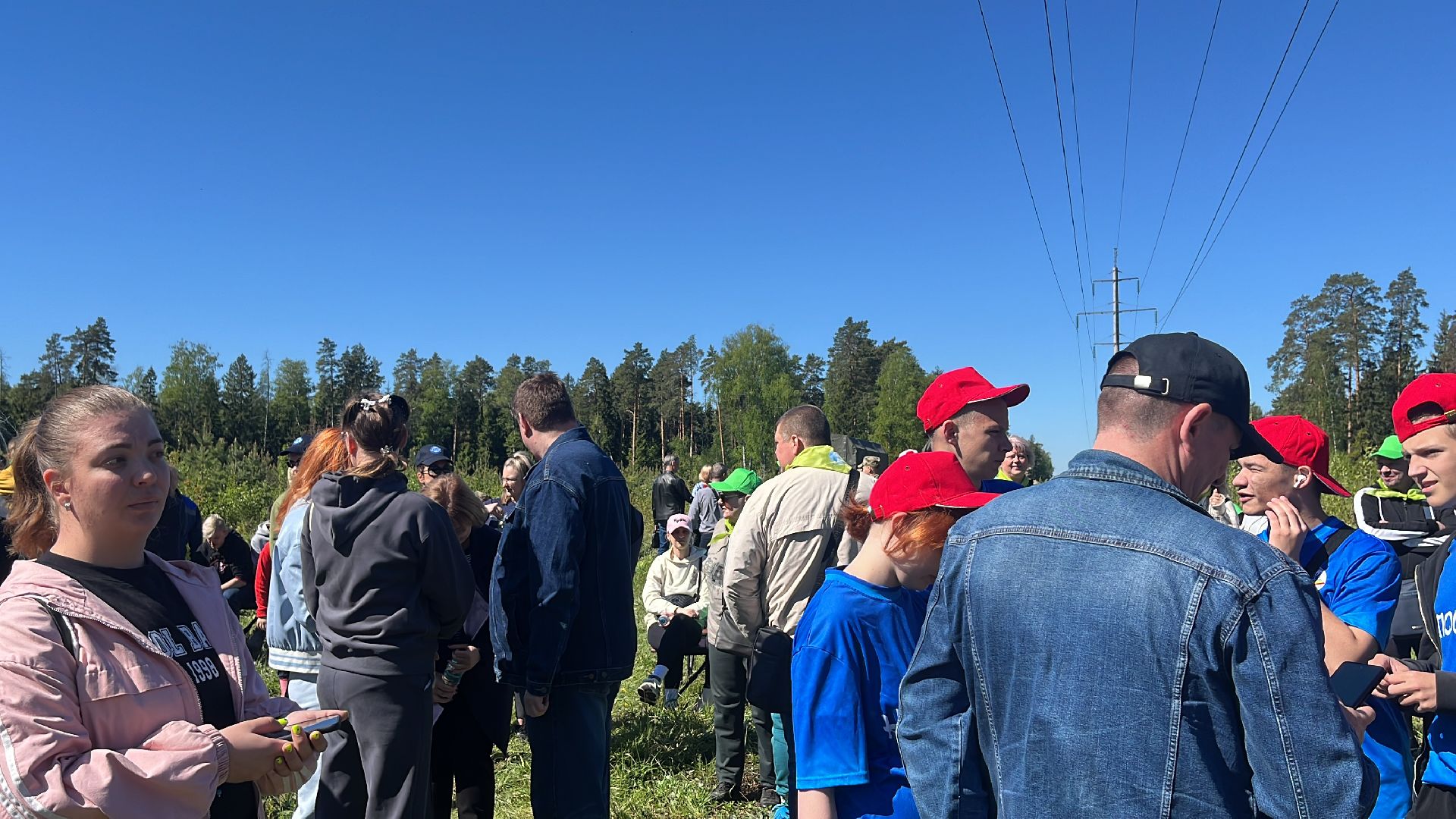 акция, экоакция, экологическая акция, лес будущего, саженцы, сосна, сосны,