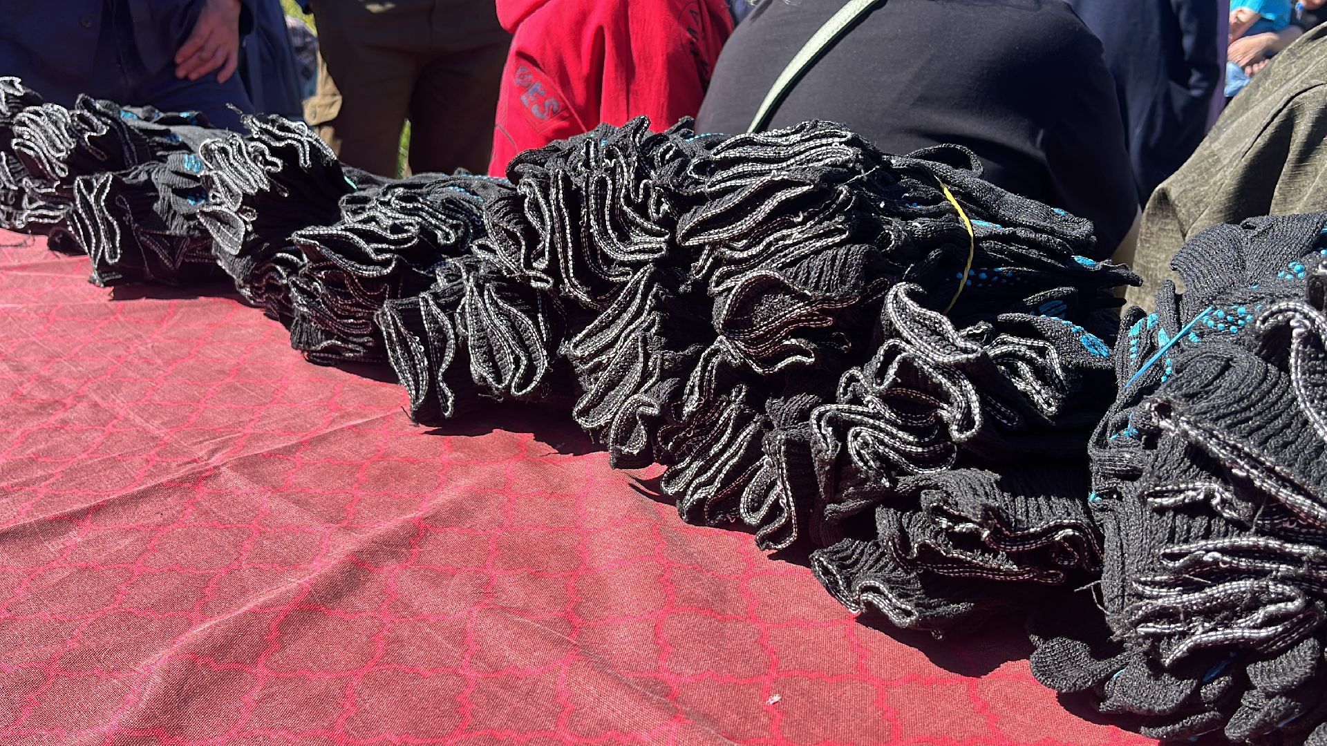 акция, экоакция, экологическая акция, лес будущего, саженцы, сосна, сосны,